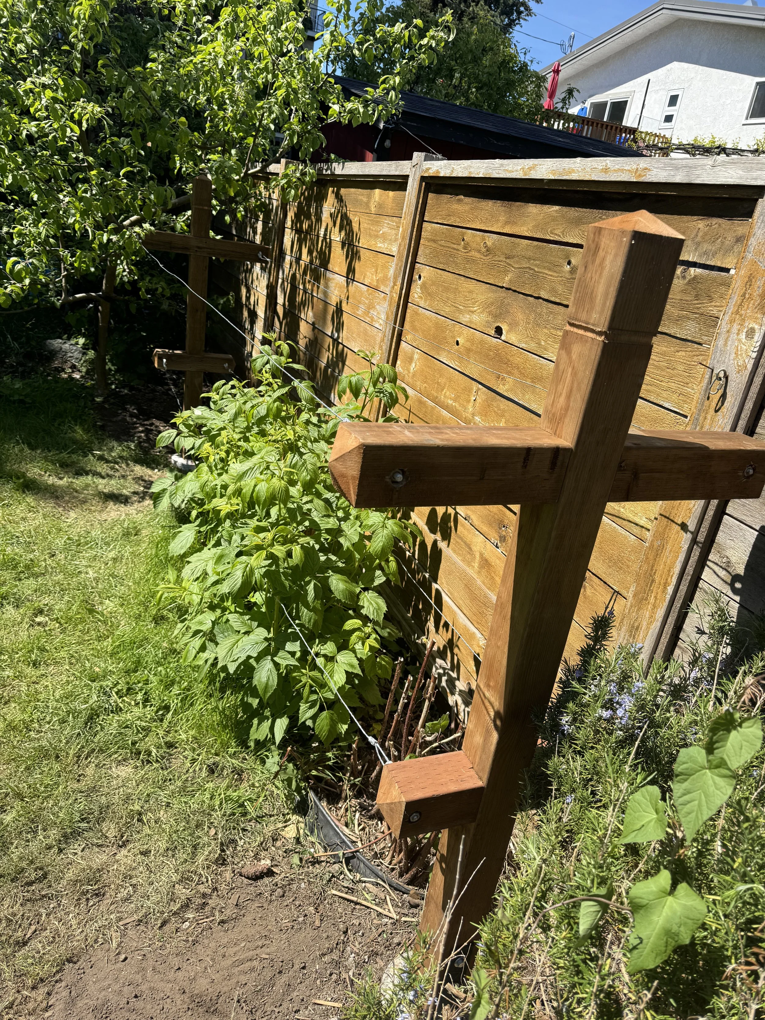 Raspberry support frame