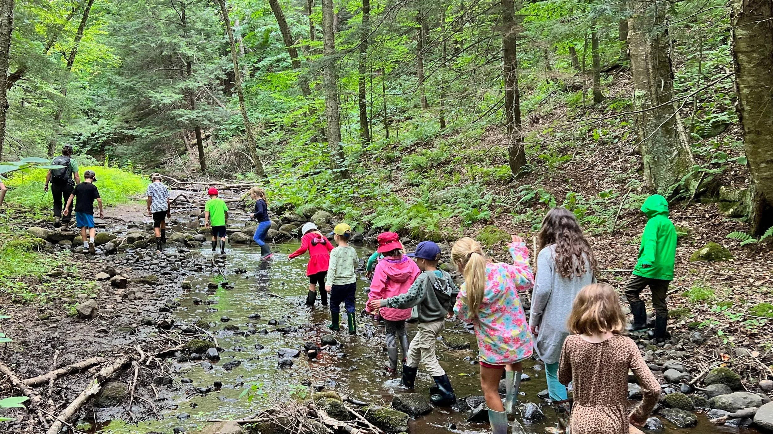Parry Sound Forest School