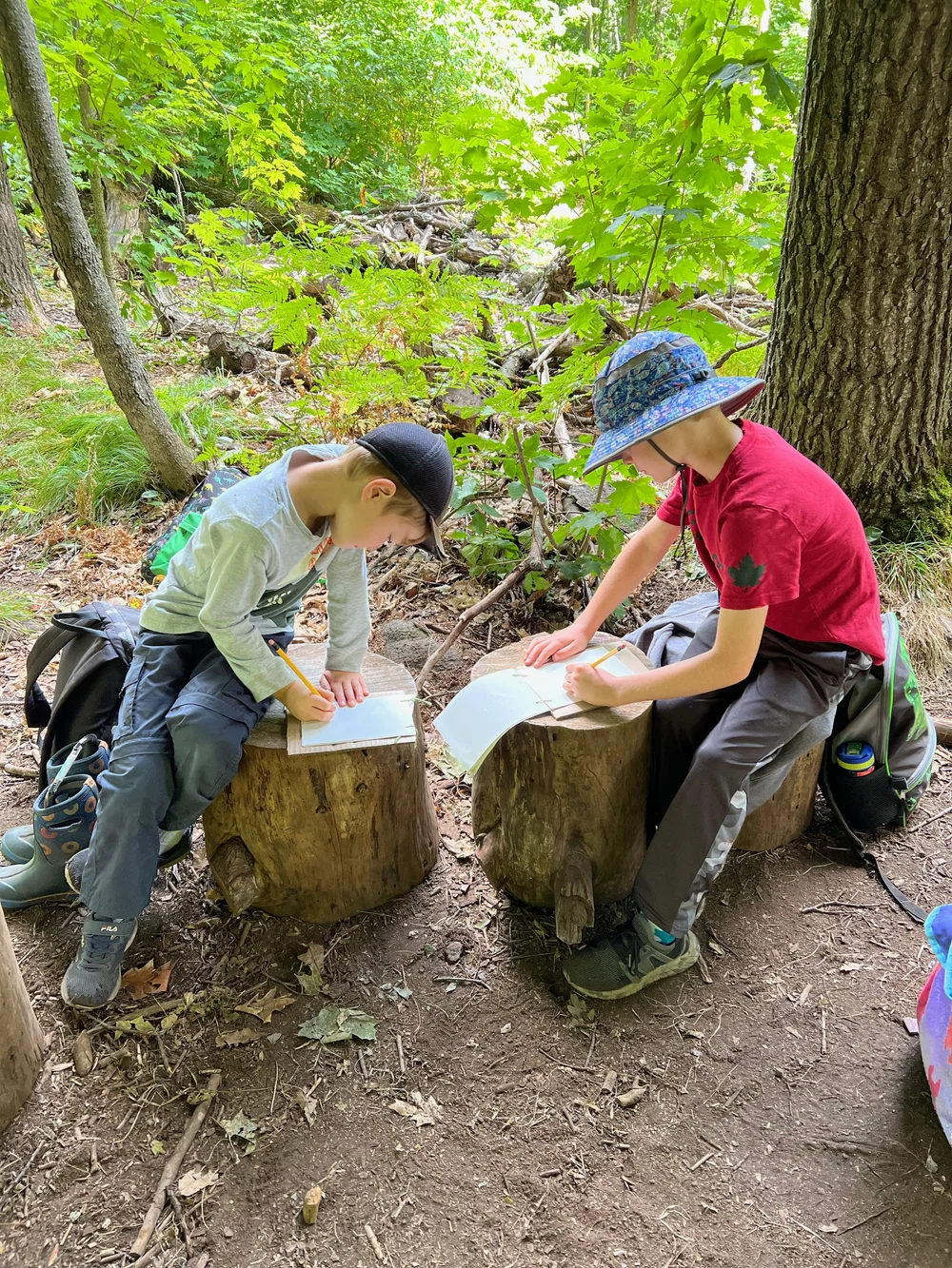 General 4 — Parry Sound Forest School