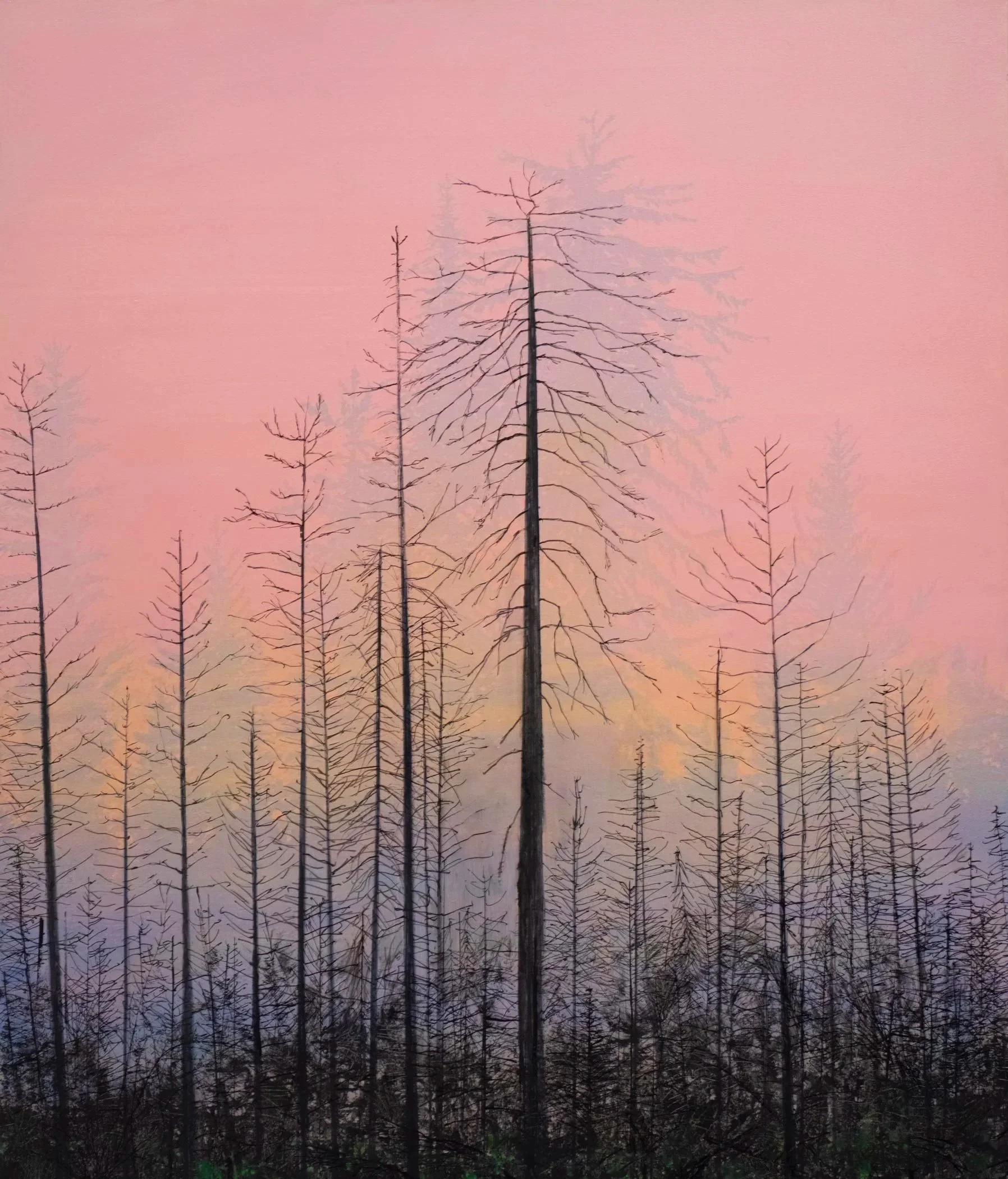 Harris Harvey Gallery