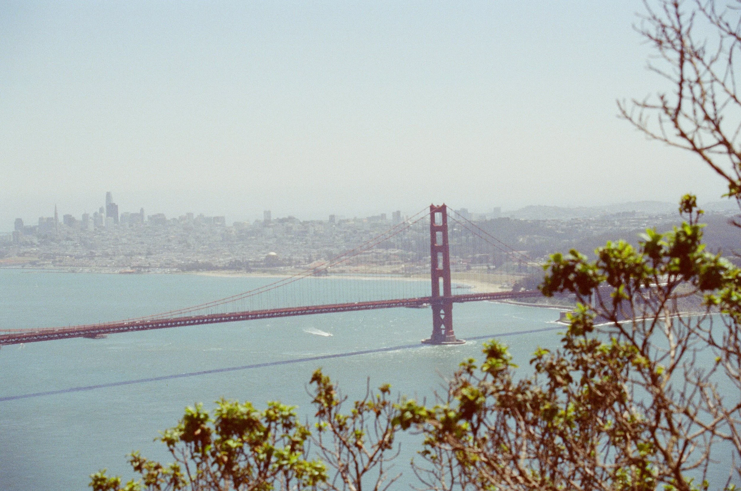 09930020.JPG