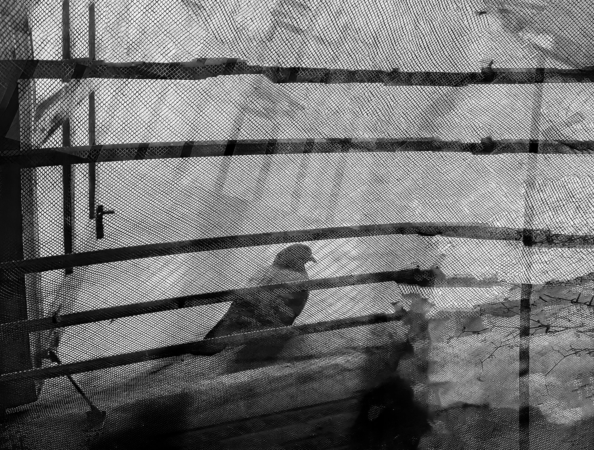 looking for-poem-theme-alone-dyutiman-mukhopadhyay.jpg