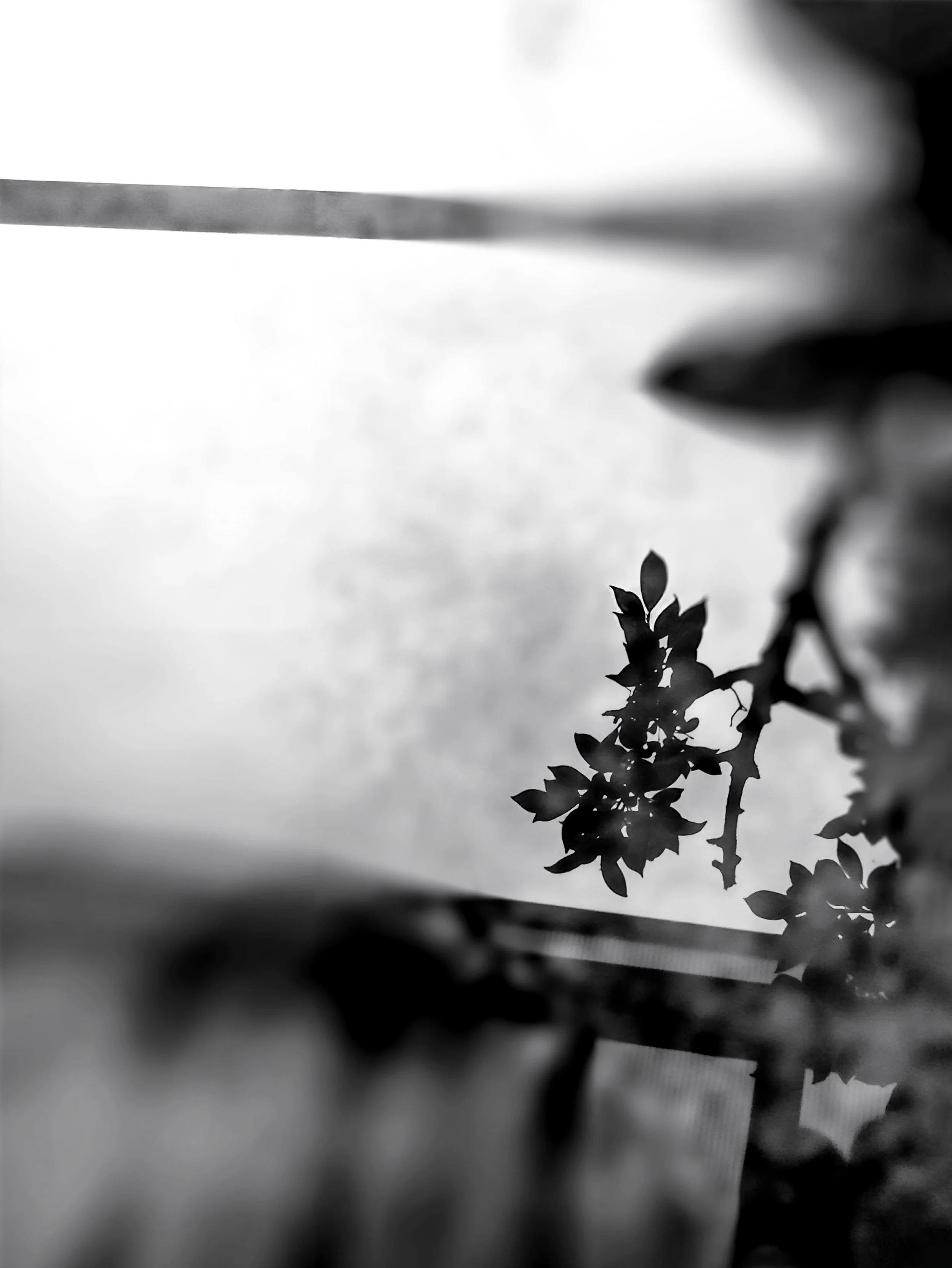Photo Essay — PETRICHOR — Dyutiman Mukhopadhyay Website