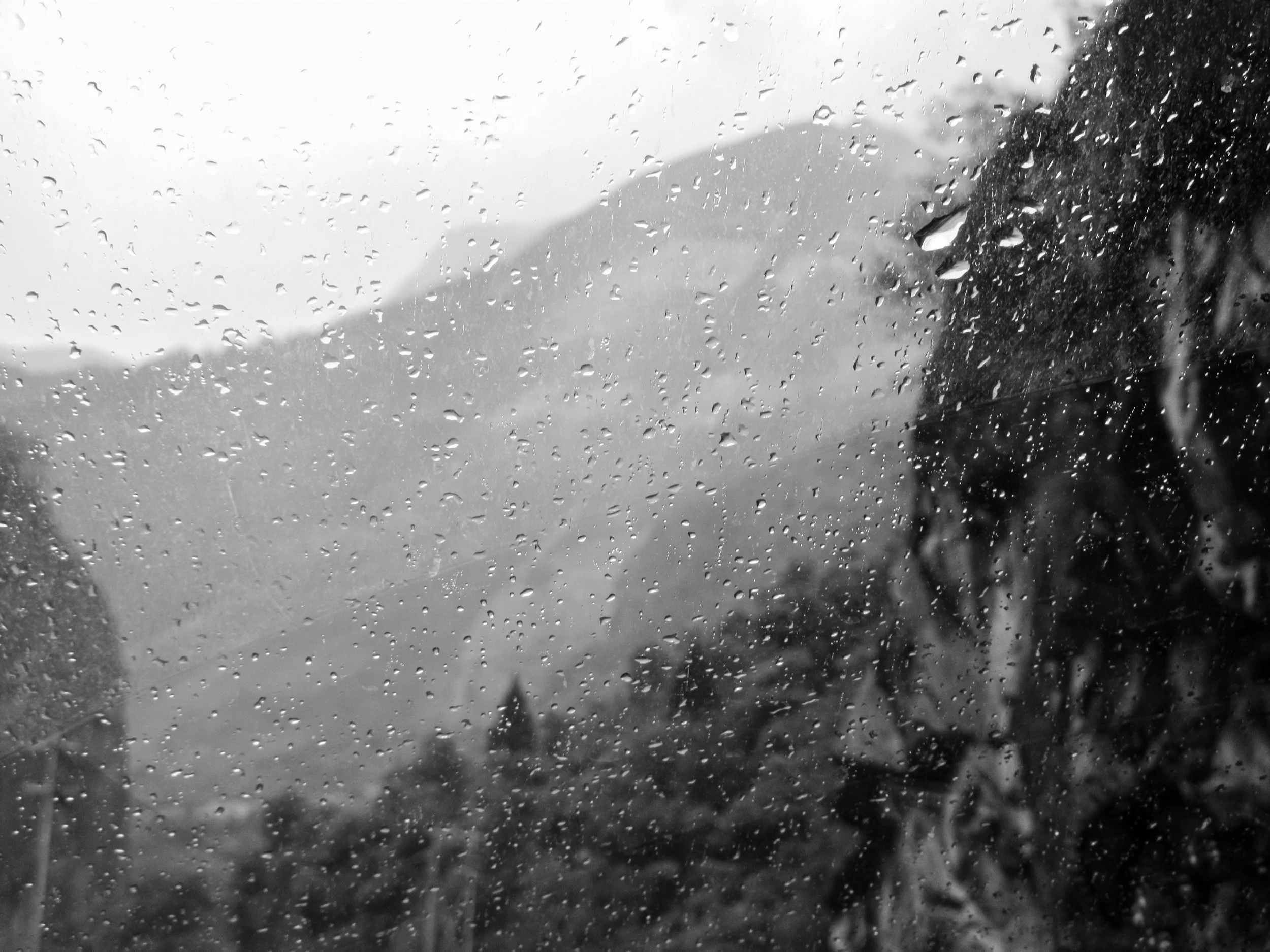 Moisture-photoessay-dyutiman-mukhopadhyay (1).JPG