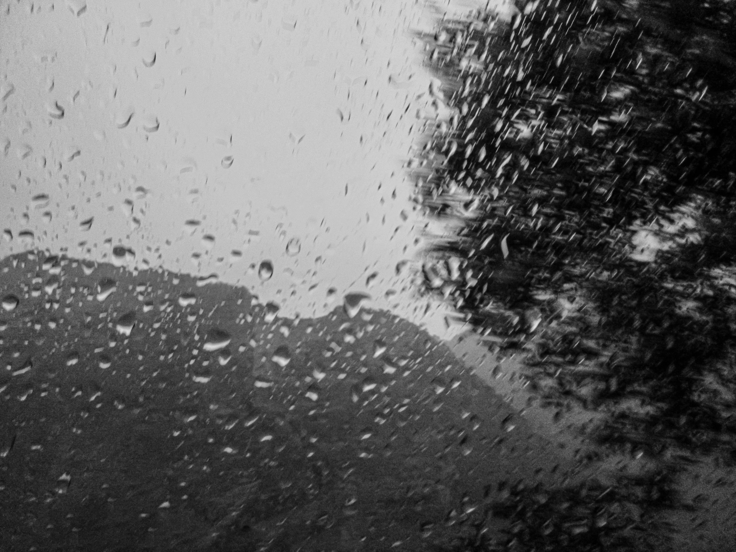Moisture-photoessay-dyutiman-mukhopadhyay (2).JPG