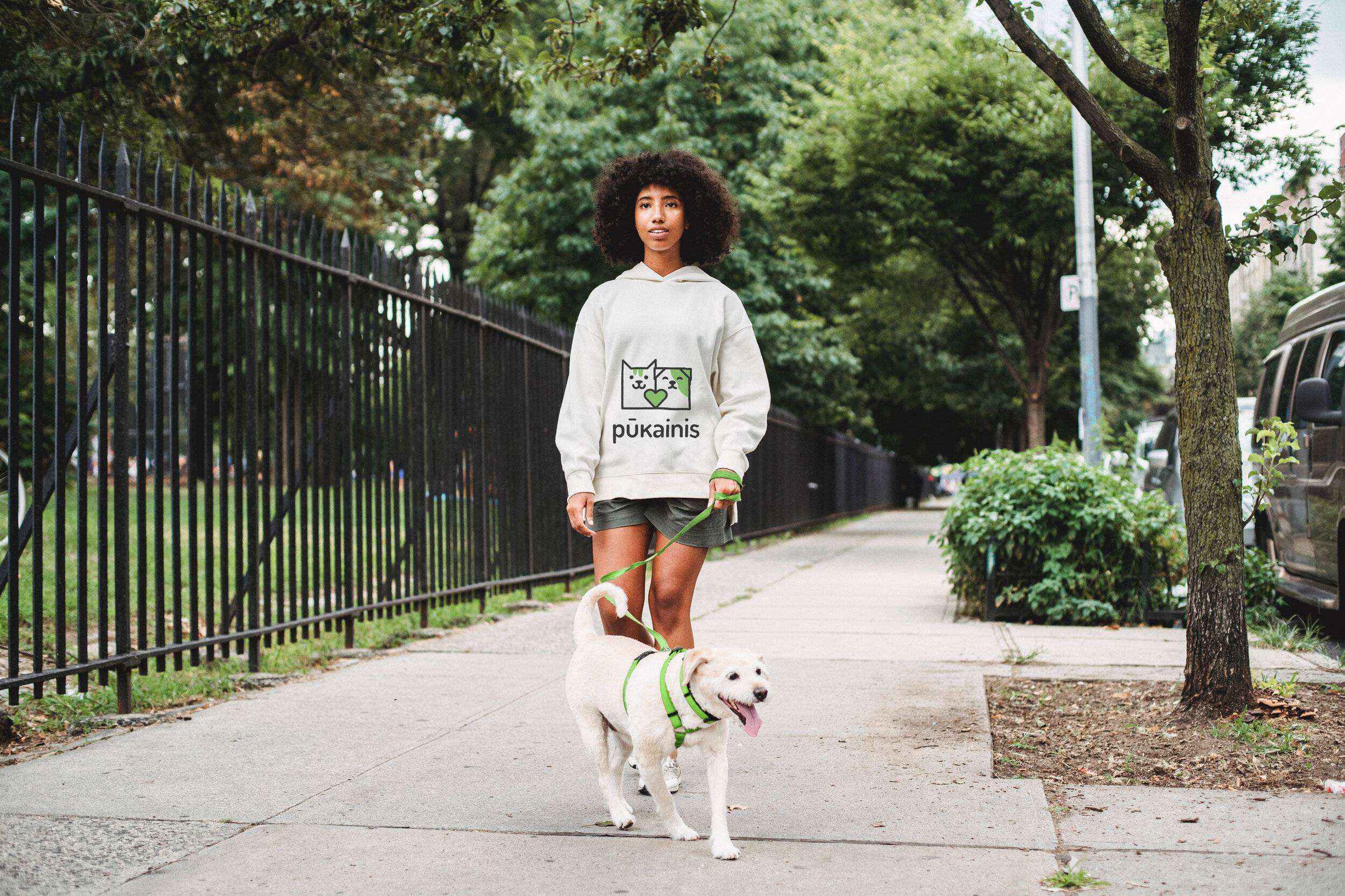 dog w lead.jpg