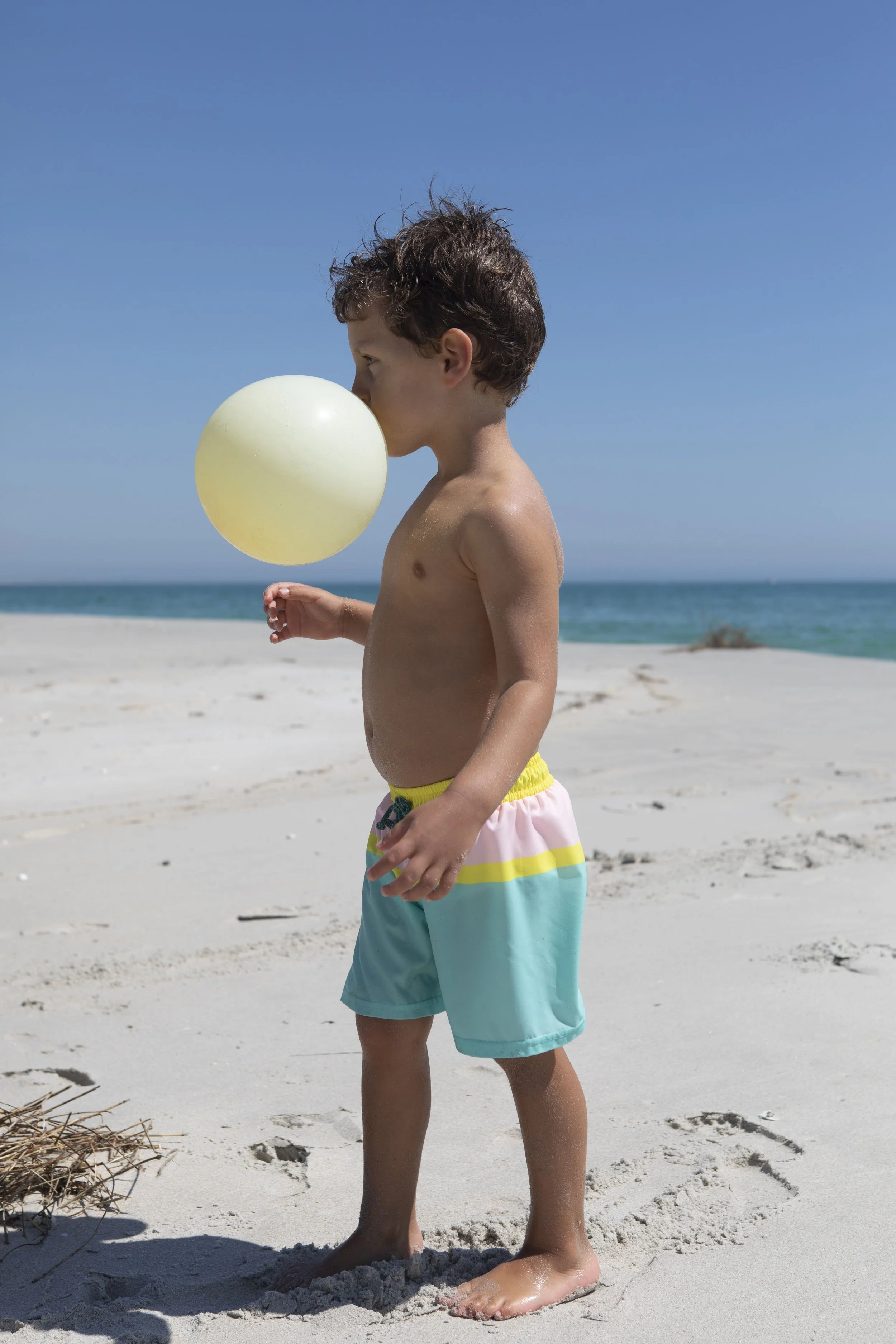 WCA-B-V1-Candy classic swim shorts-f.jpg