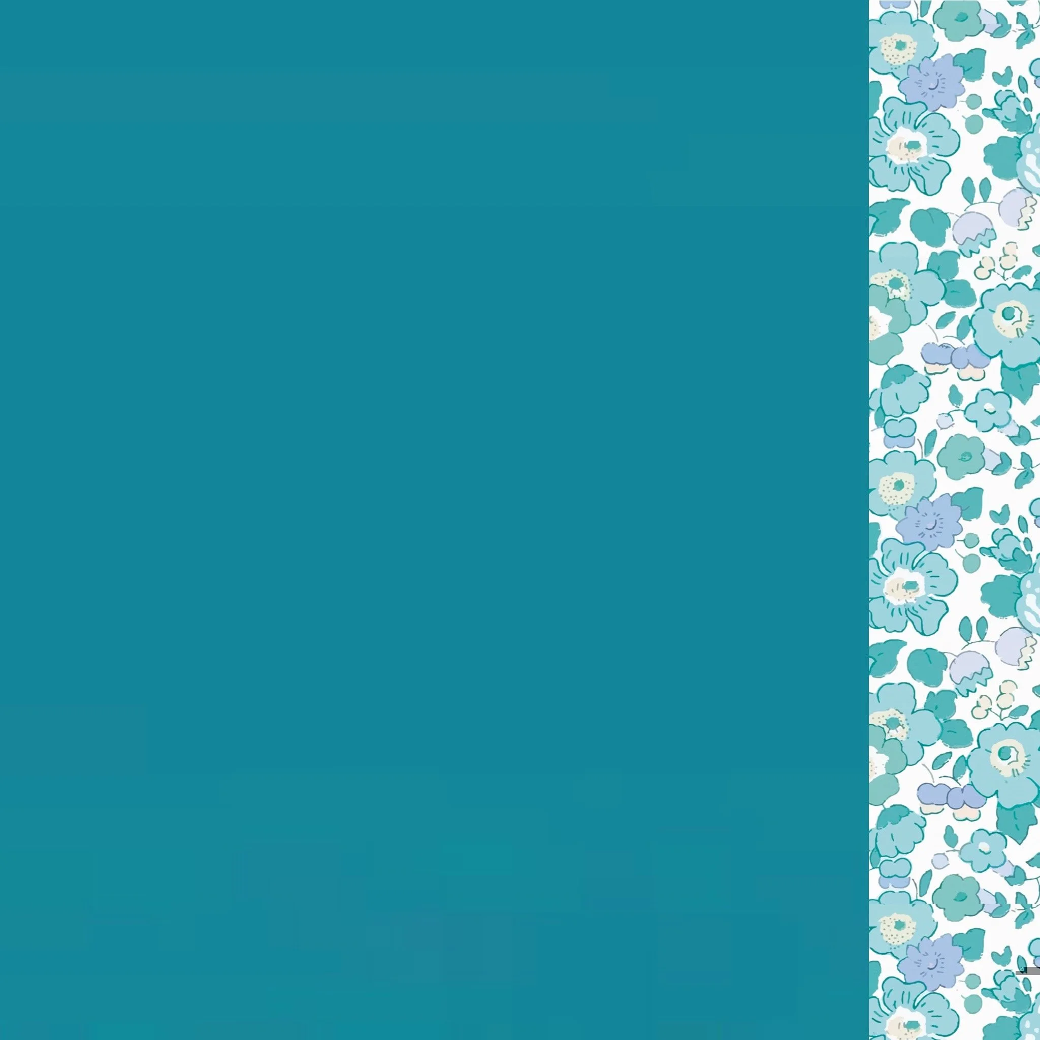AQL-TS-Aqua liberty t-shirt-x.JPG