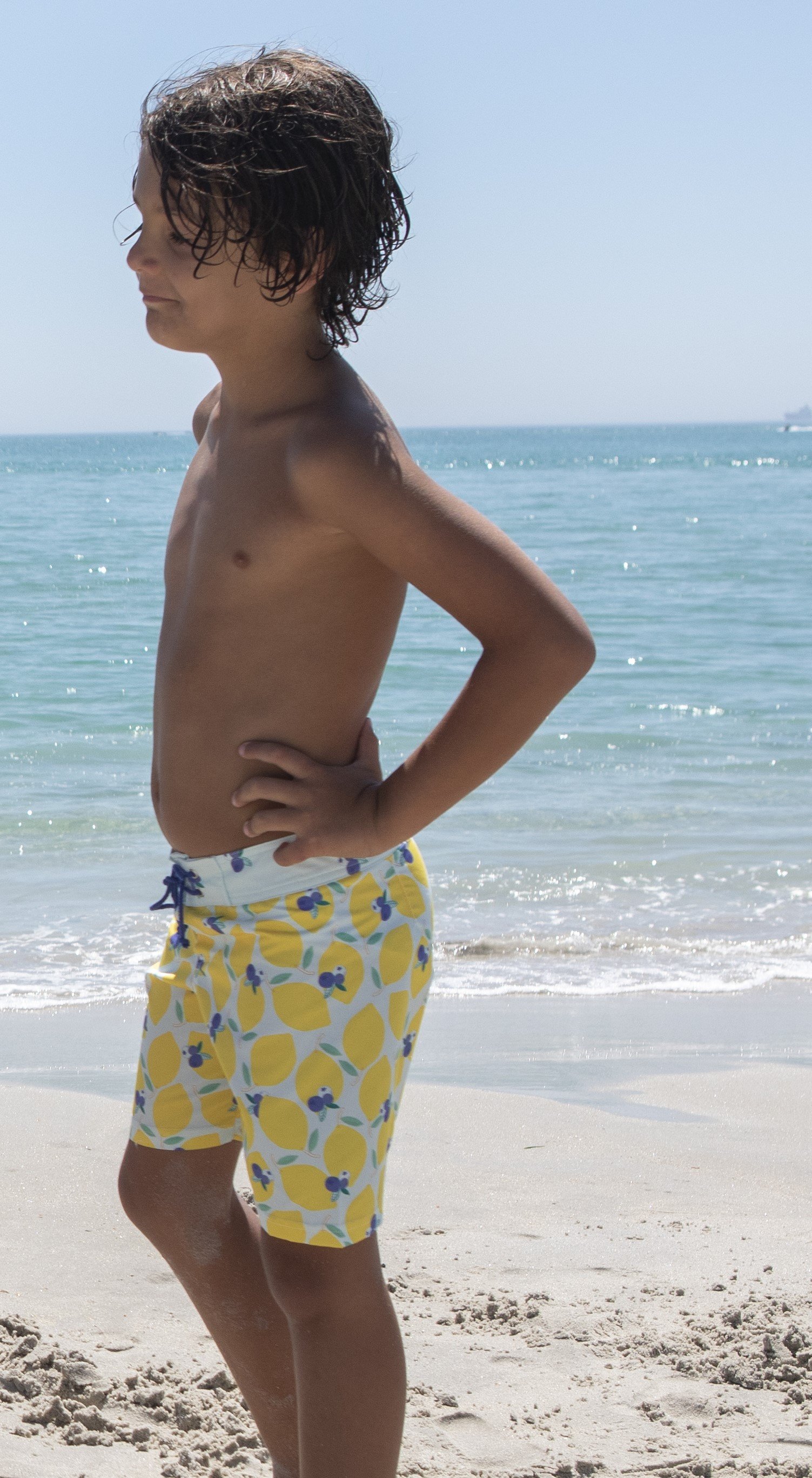 LBR-B-V2-Lemonberry surfer swim shorts-f.jpg