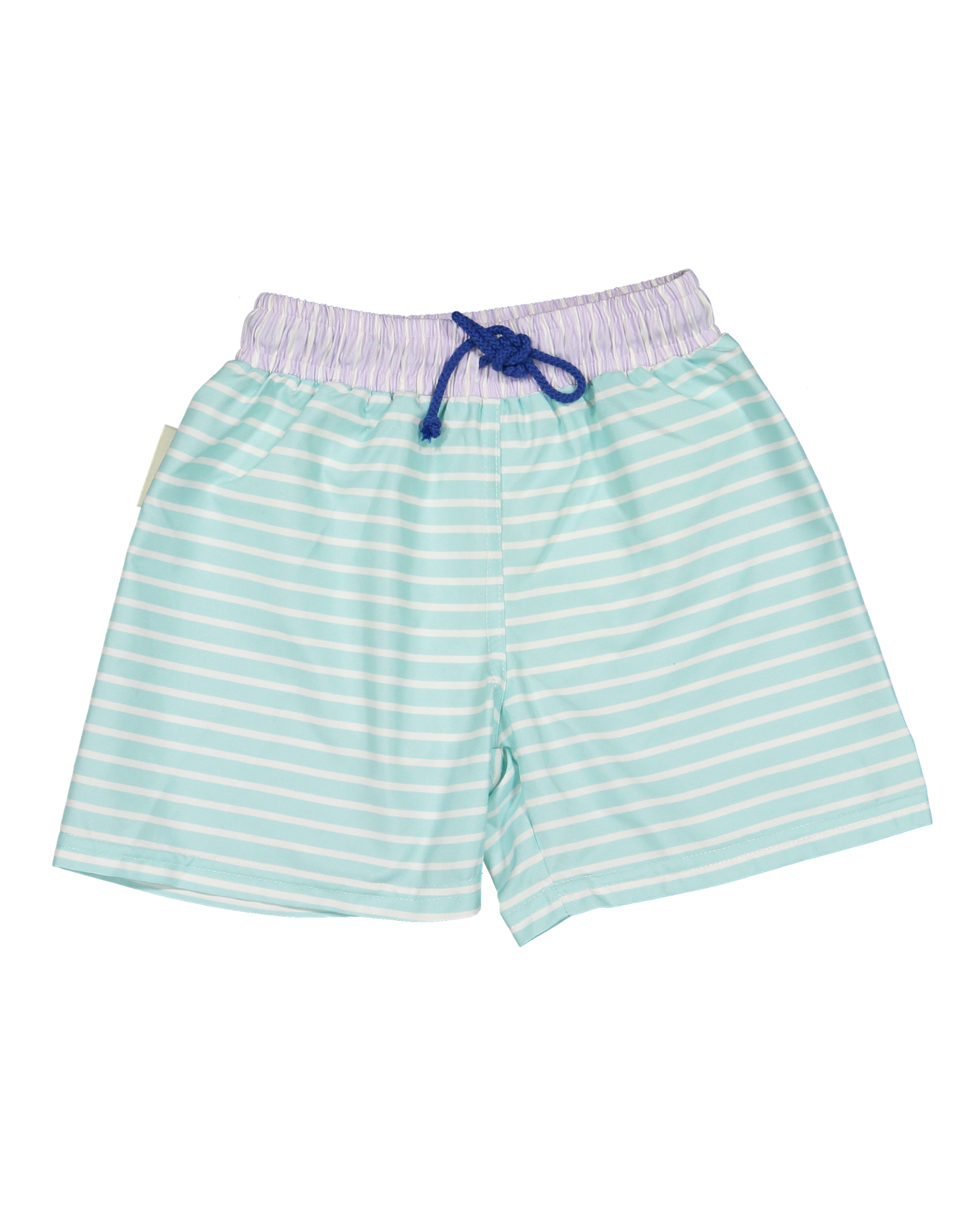 PSP-B-V1-Pastel+stripes+classic+swim+shorts-a.png
