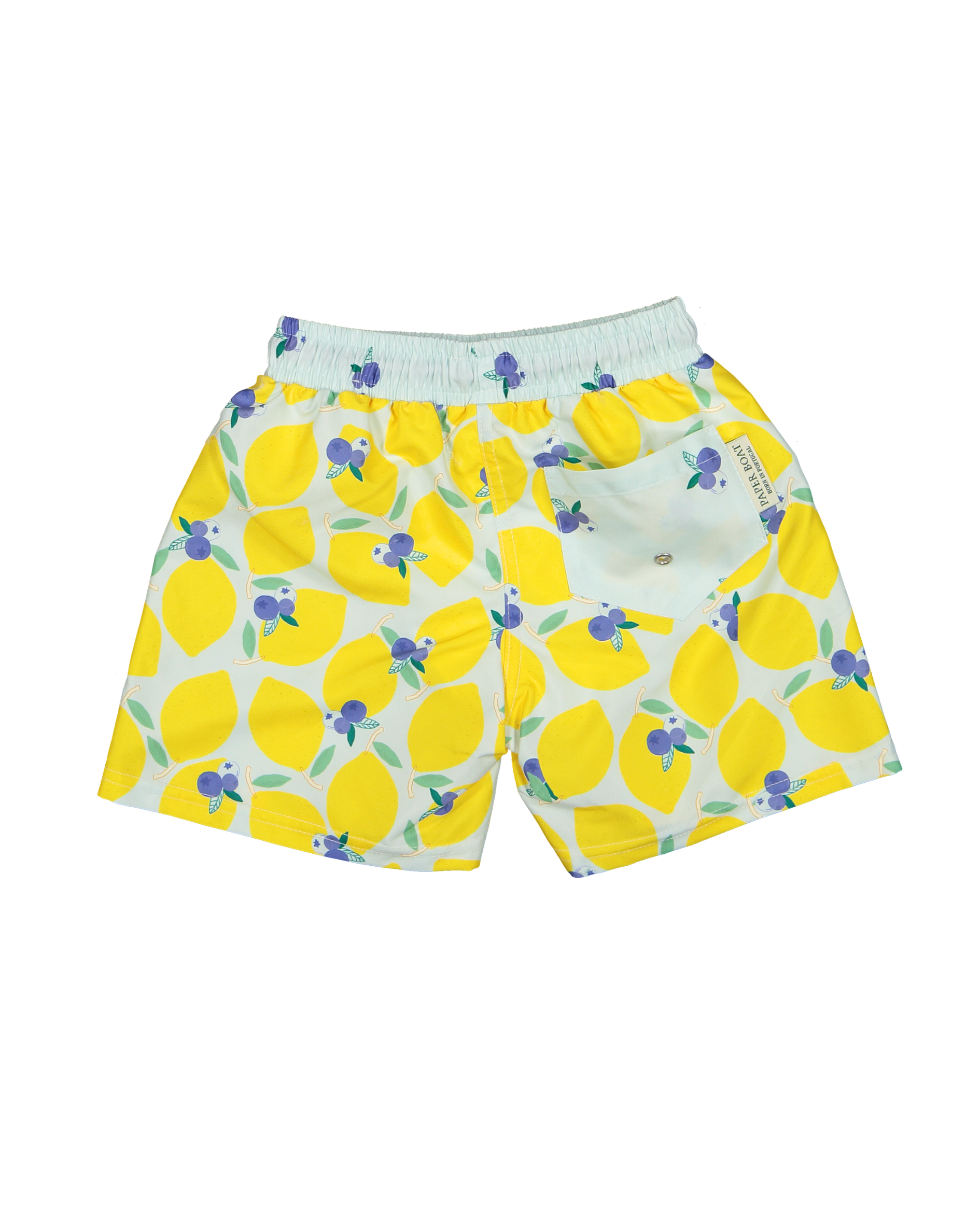 LBR-B-V1-Lemonberry classic swim shorts-b.png