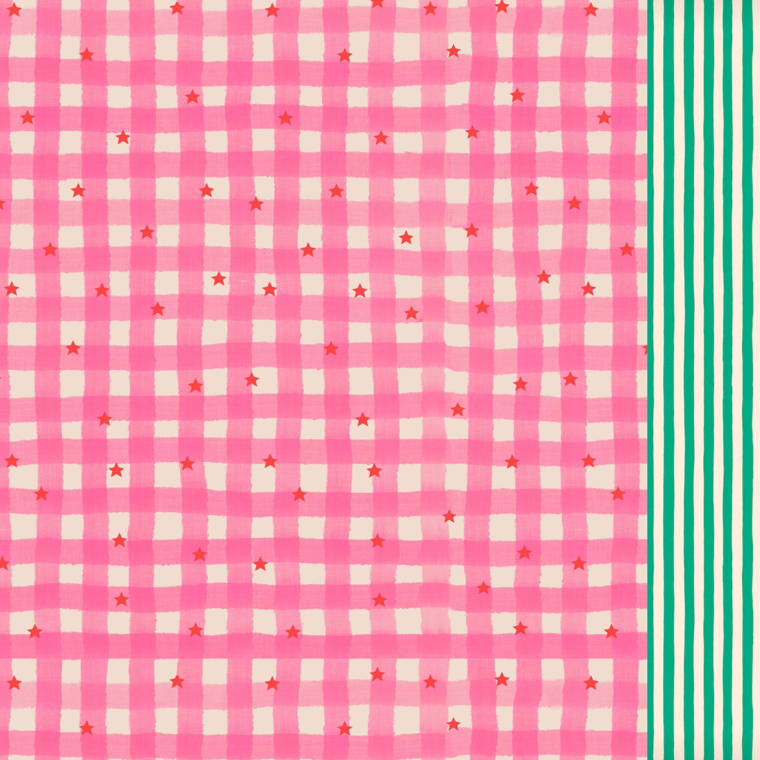 GIG-B-V1-Gingham stars classic swim shorts-x.png