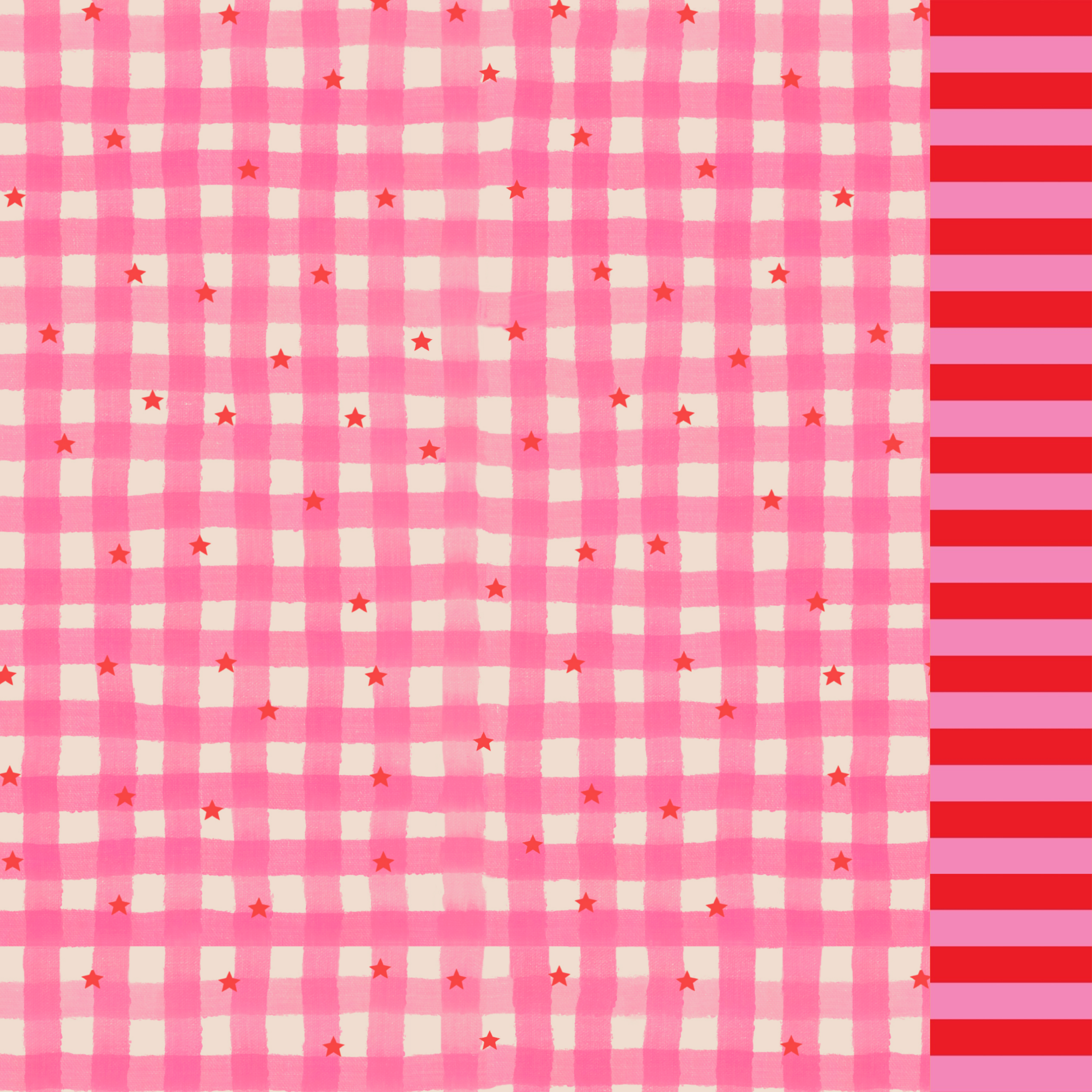 GIG-V1-Gingham stars swimsuit-x.png