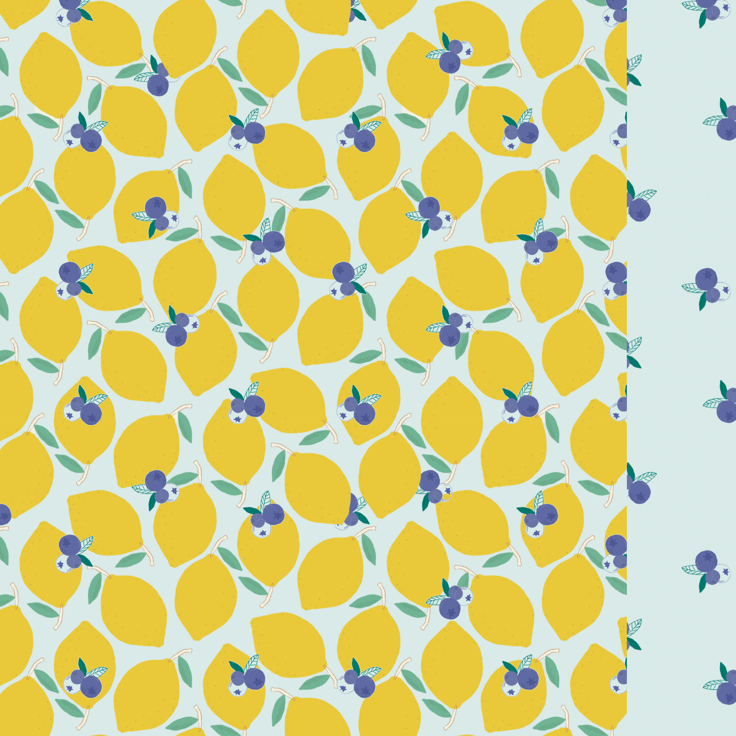 LBR-M-Men´s lemonberry swim shorts-x.png