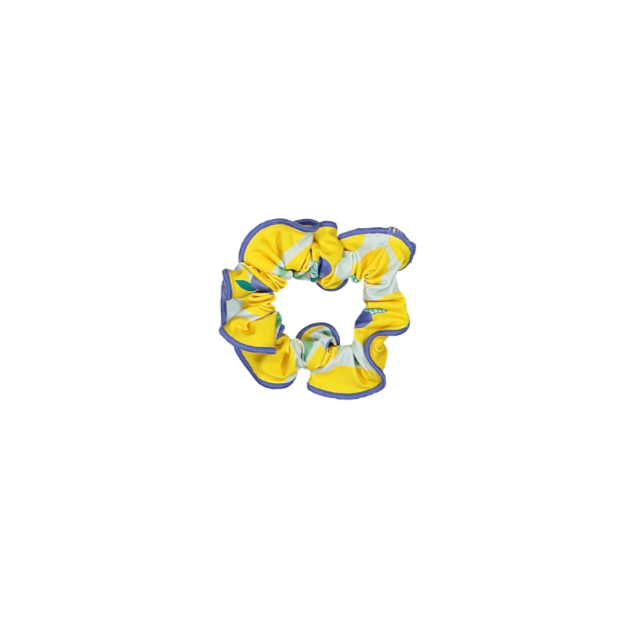 LBR-SC-Lemonberry+scrunchie-a.png