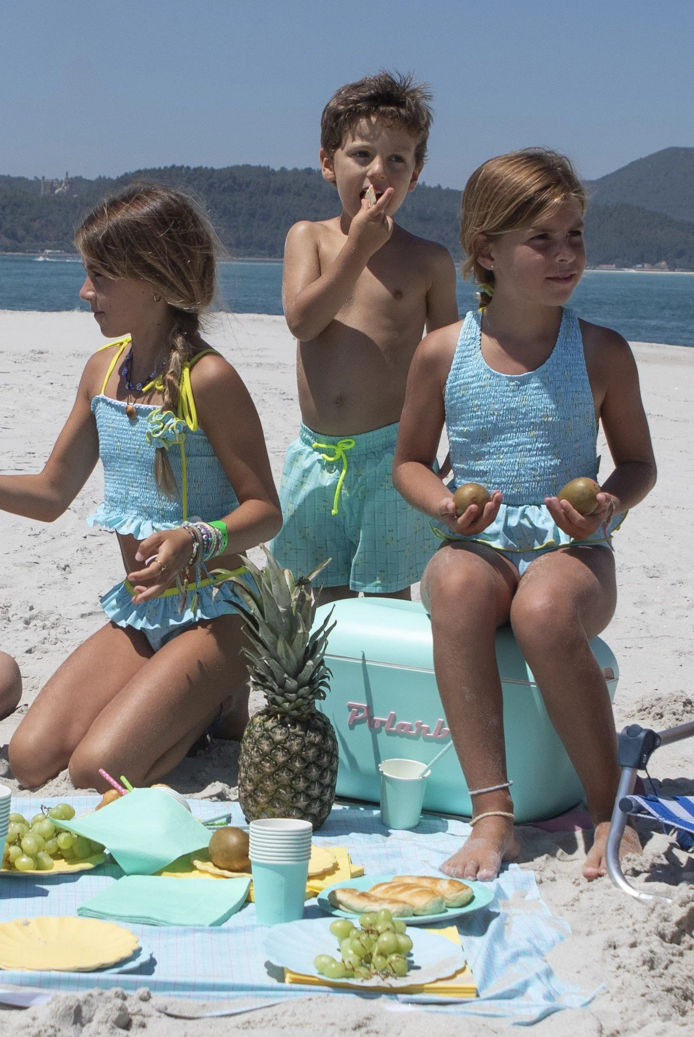 WGR-B-V1-Water garden classic swim shorts-d.jpg