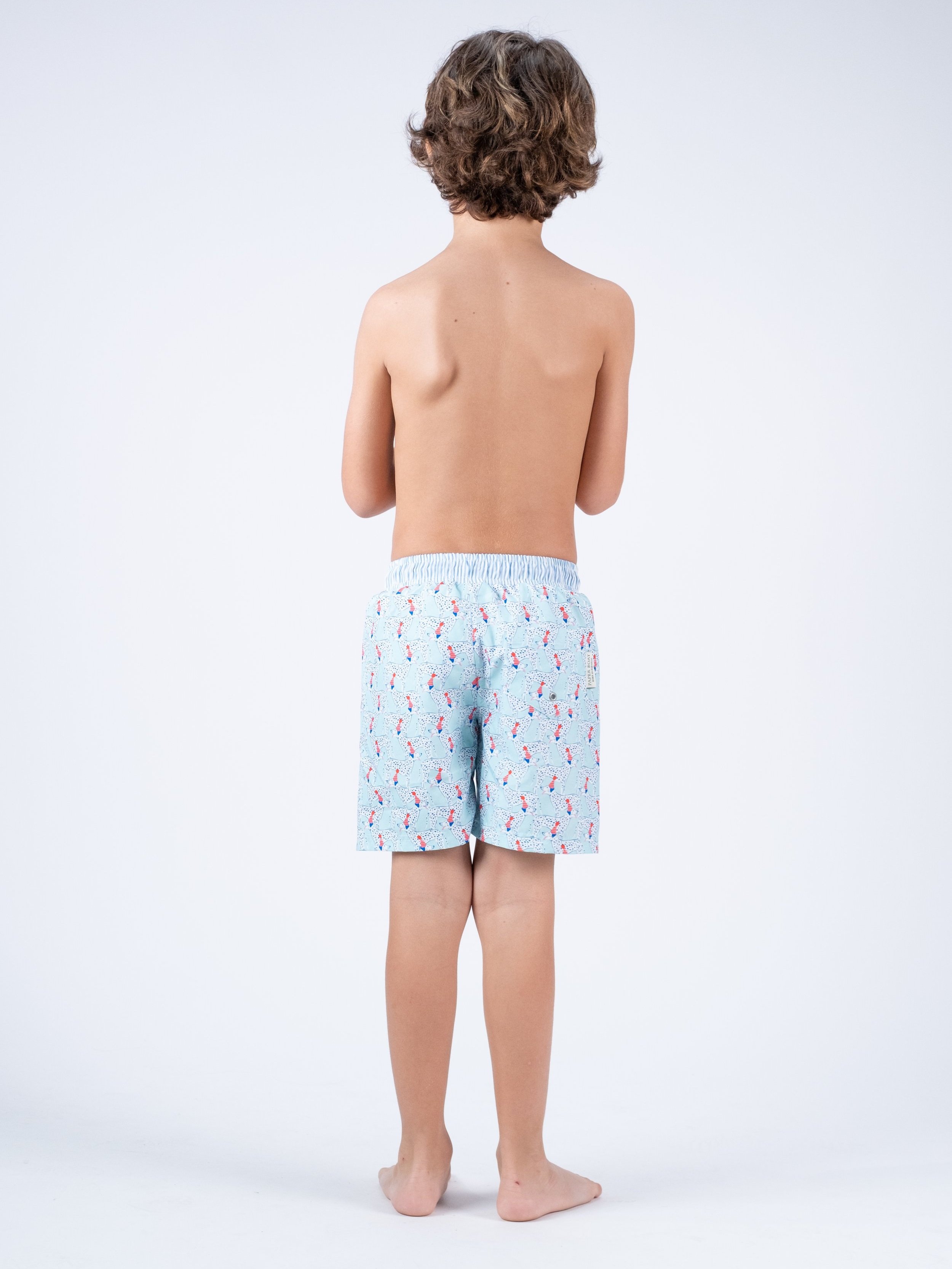 PRD-B-V1-Party+dogs+classic+swim+shorts-f.jpg