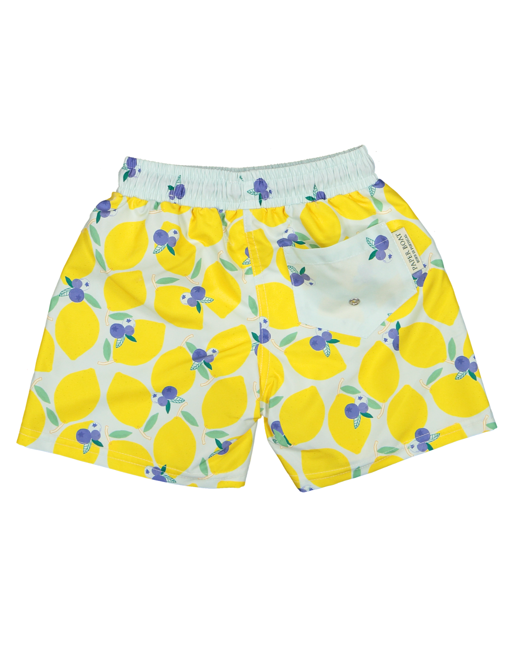 LBR-M-Men%C2%B4s+lemonberry+swim+shorts-a.png