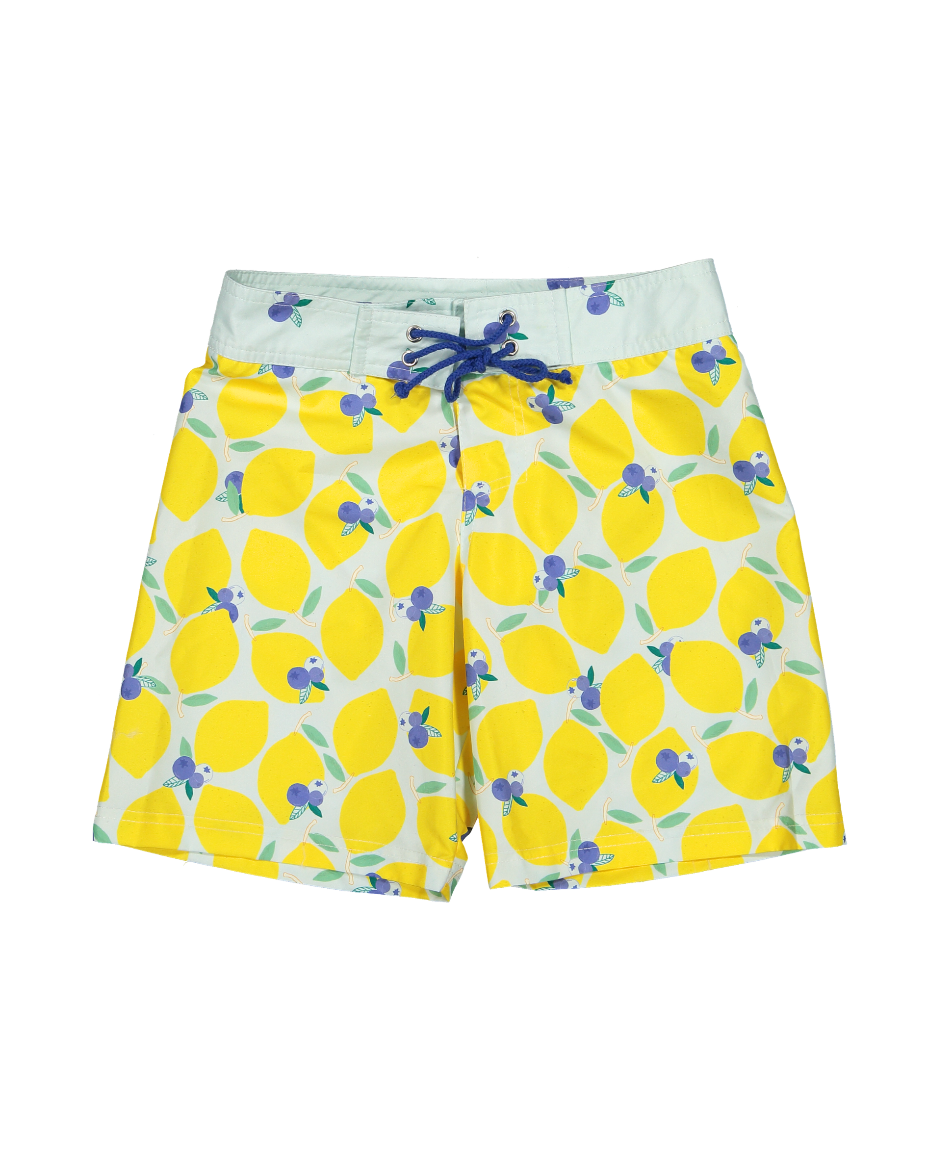 LBR-B-V2-Lemonberry surfer swim shorts-a.png