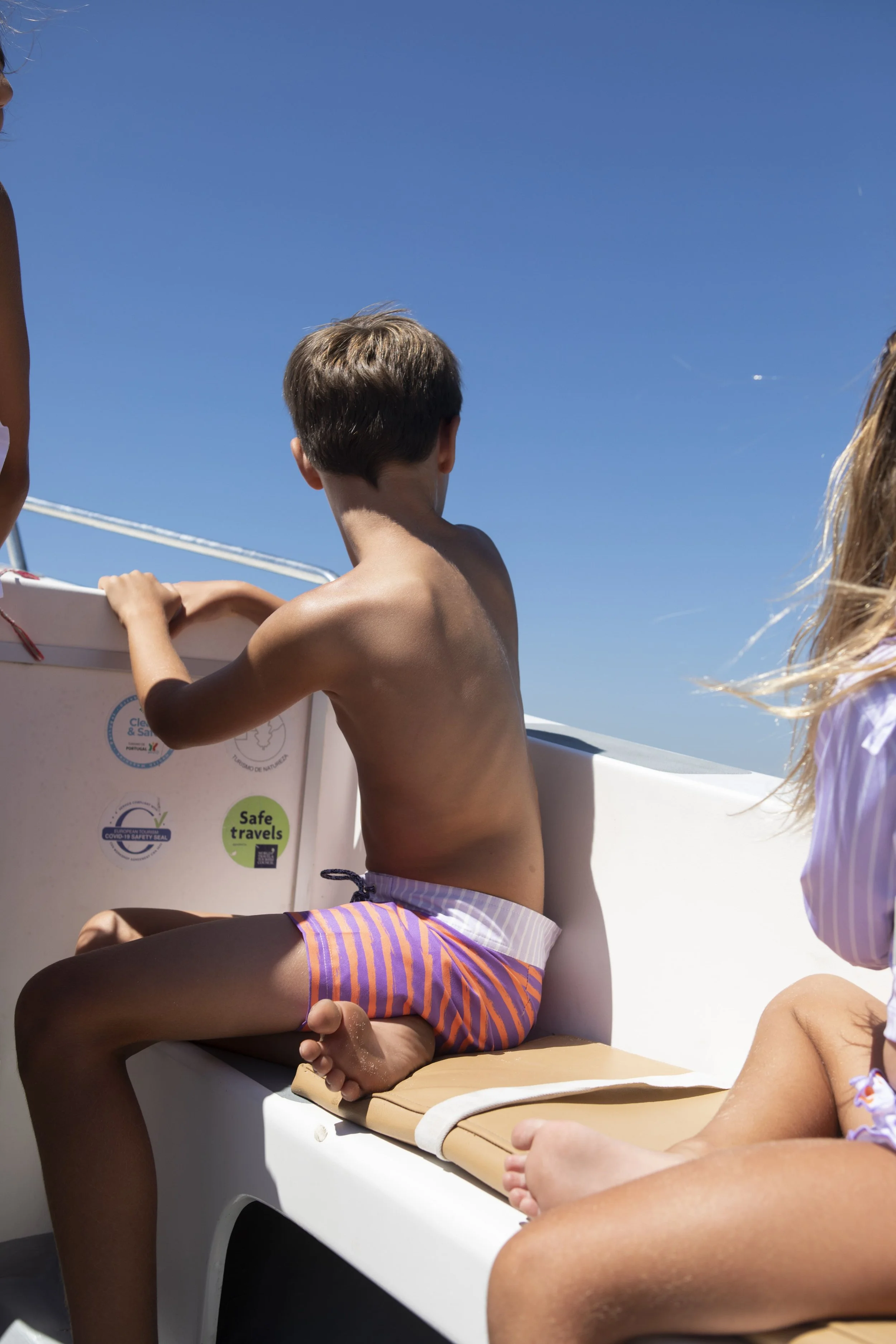 LAV-B-V2-Lavander stripes surfer swim shorts-g.JPG (cópia)