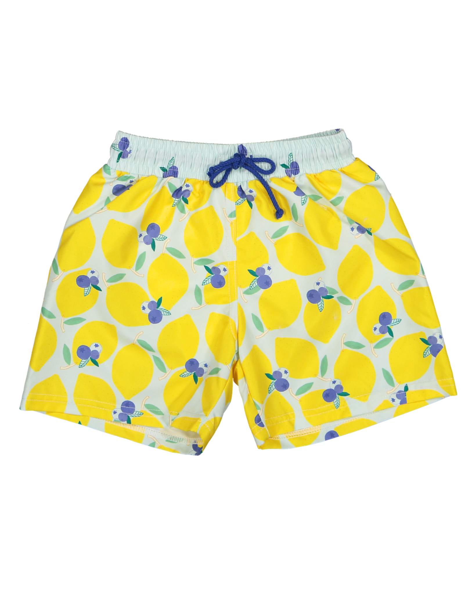 LBR-M-Men%C2%B4s+lemonberry+swim+shorts-b.png