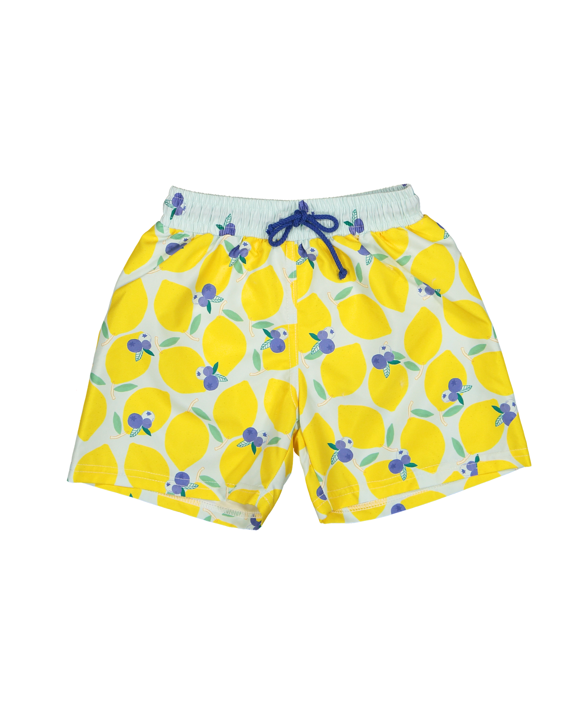 LBR-M-Men´s lemonberry swim shorts-b.png