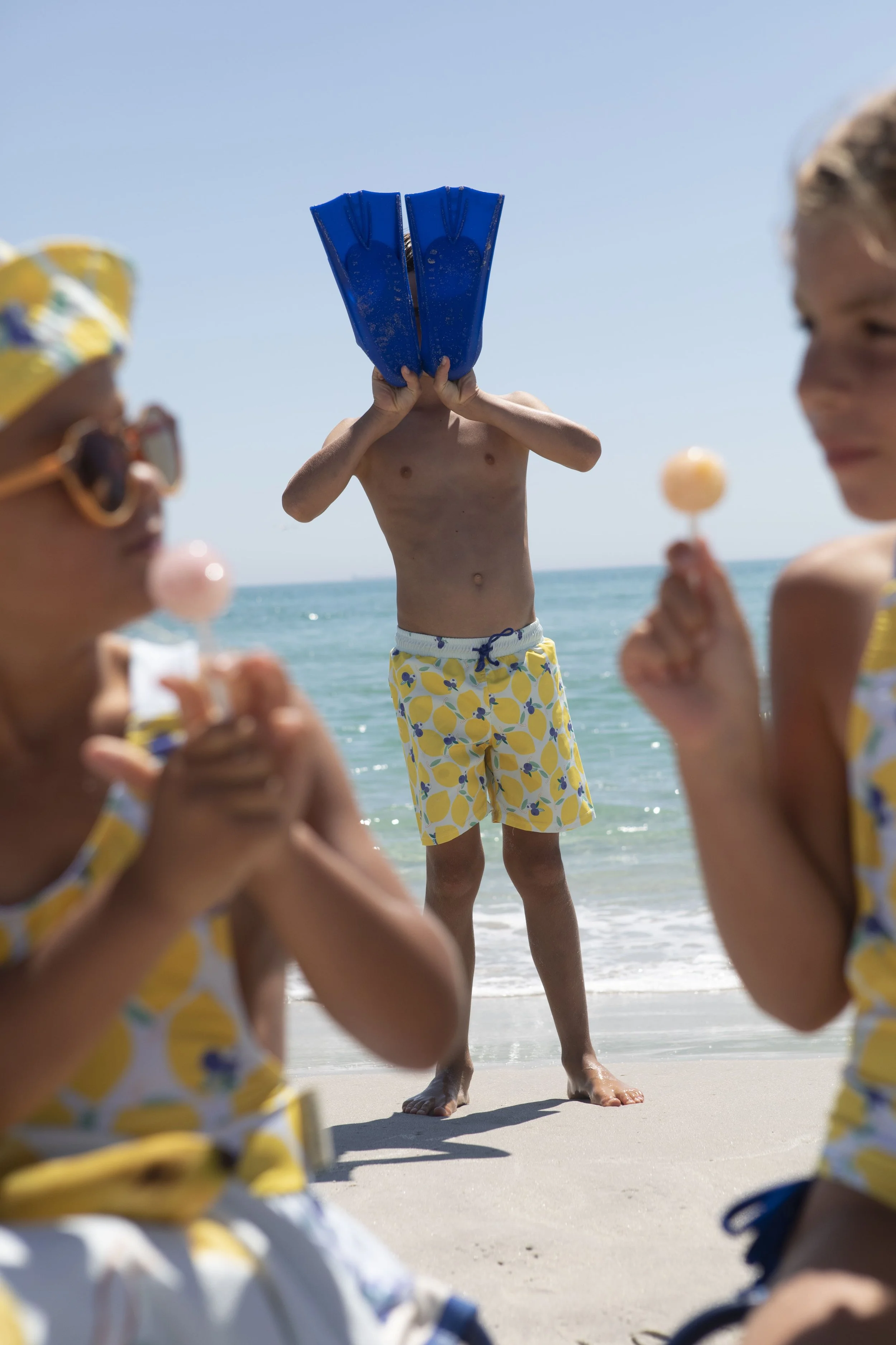 LBR-B-V1-Lemonberry classic swim shorts-e.jpg