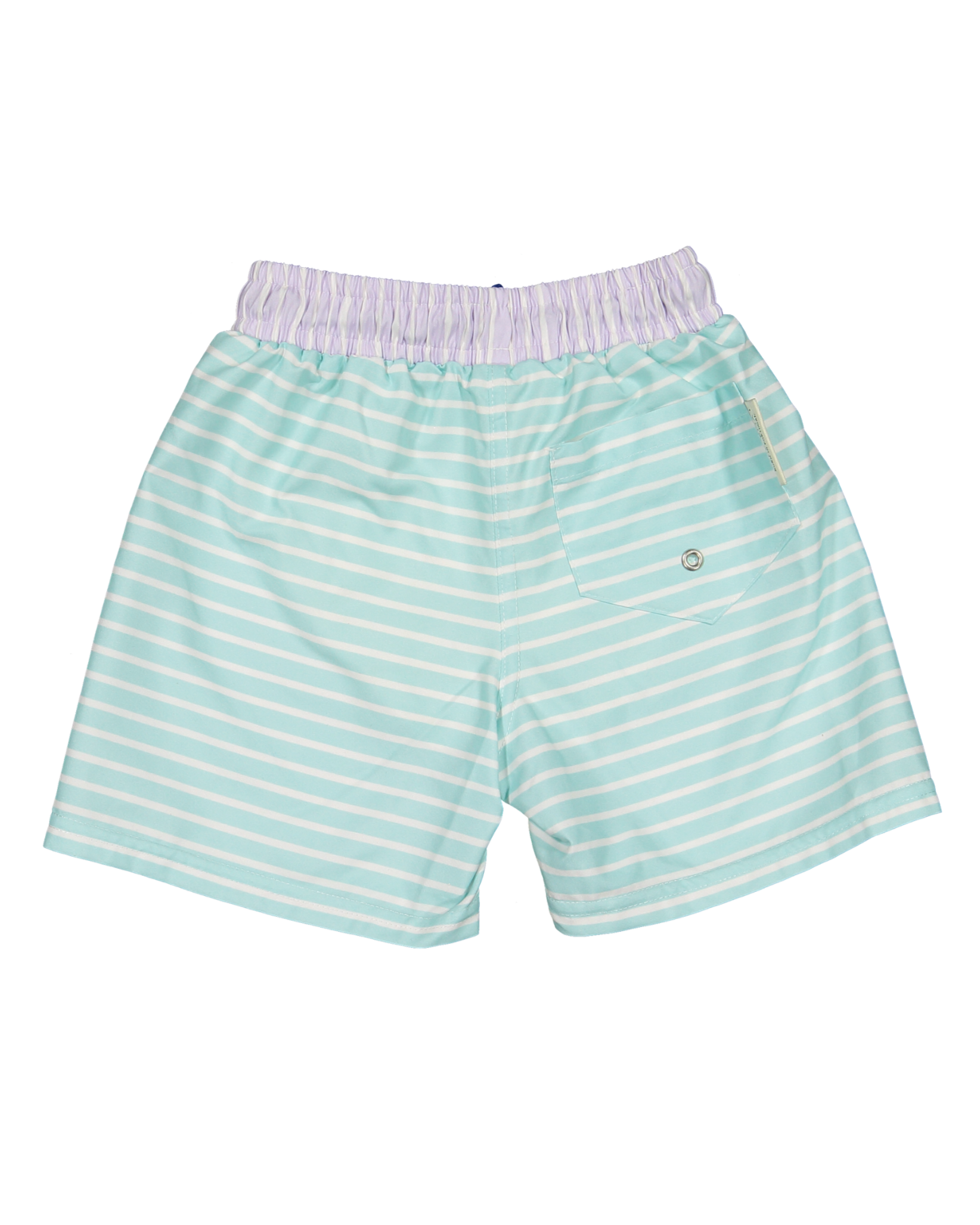 PSP-B-V1-Pastel+stripes+classic+swim+shorts-b.png