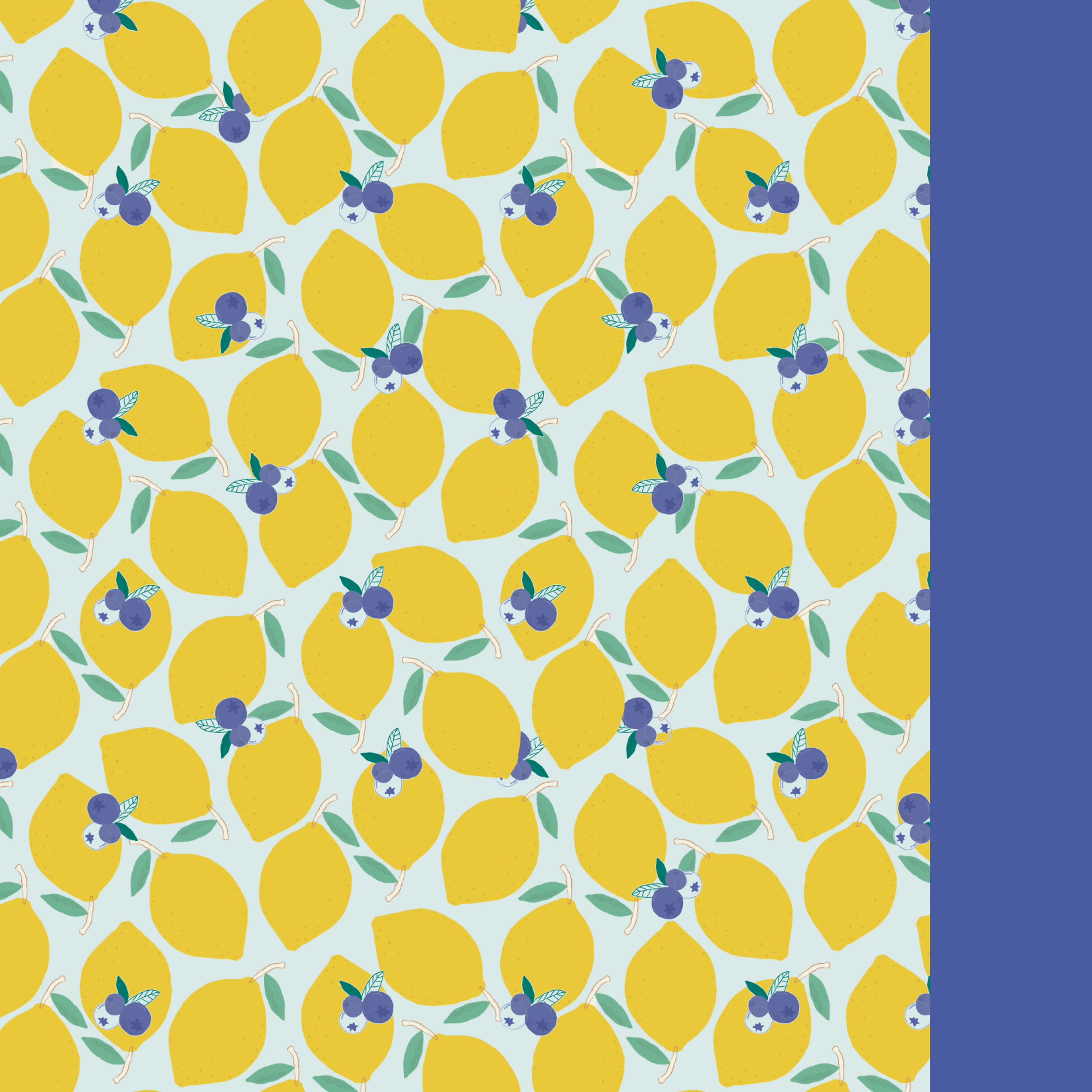 LBR-V2-Lemonberry swimsuit-x.png