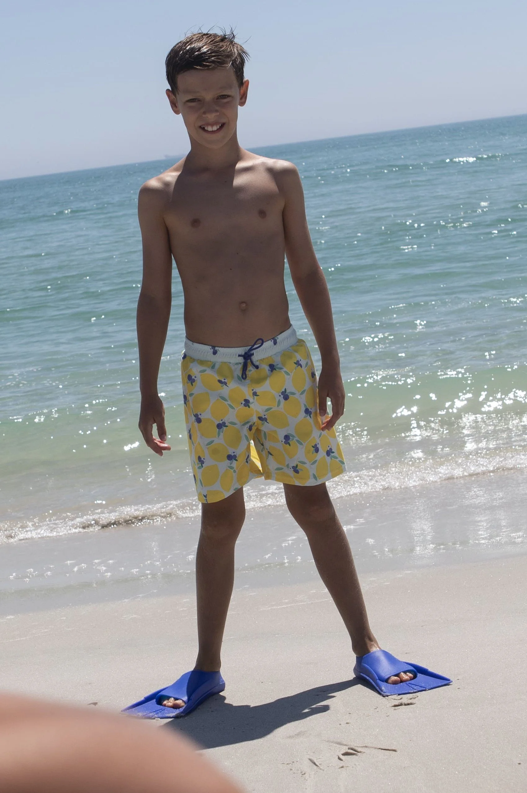 LBR-B-V1-Lemonberry classic swim shorts-c.jpg