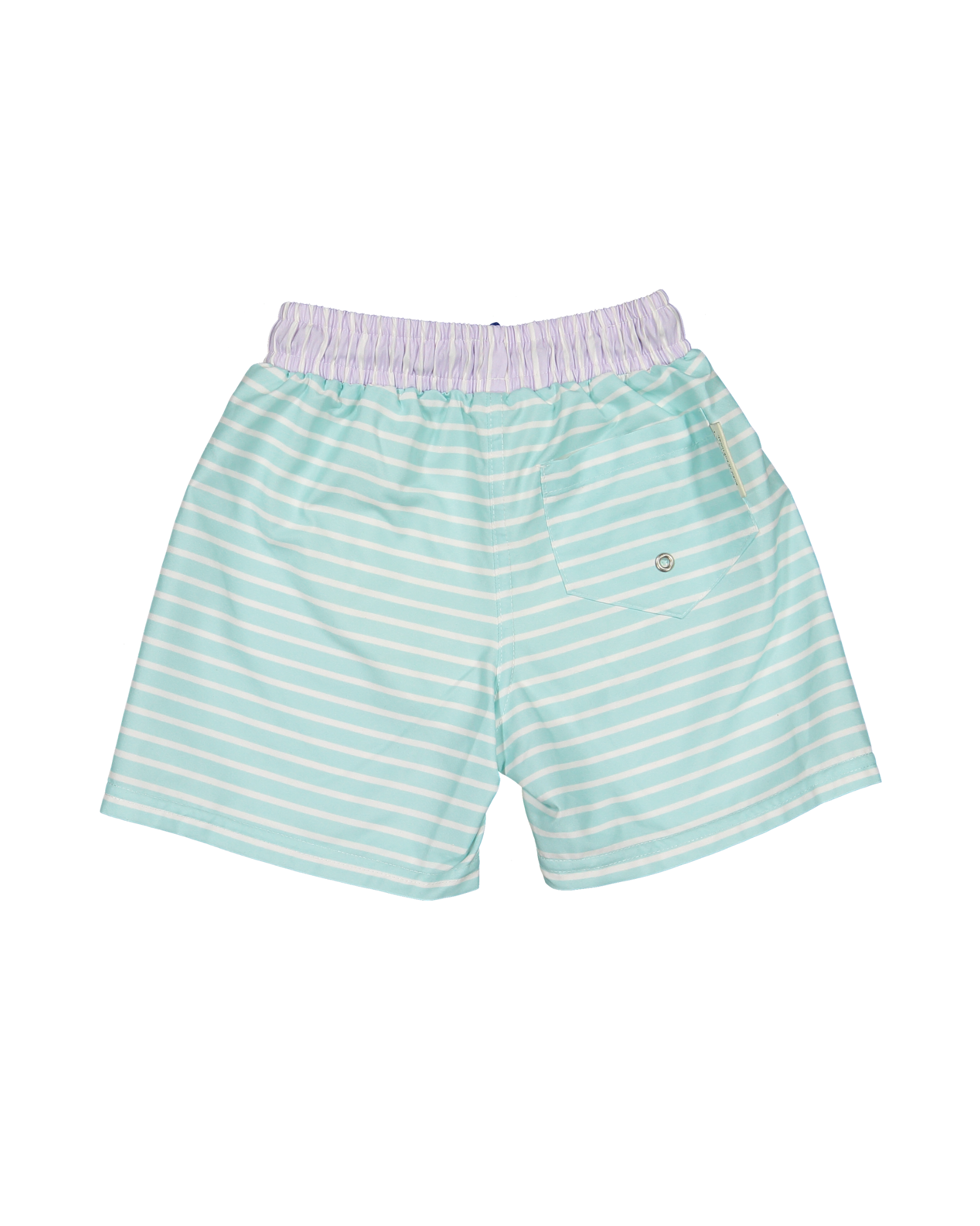 PSP-B-V1-Pastel stripes classic swim shorts-b.png