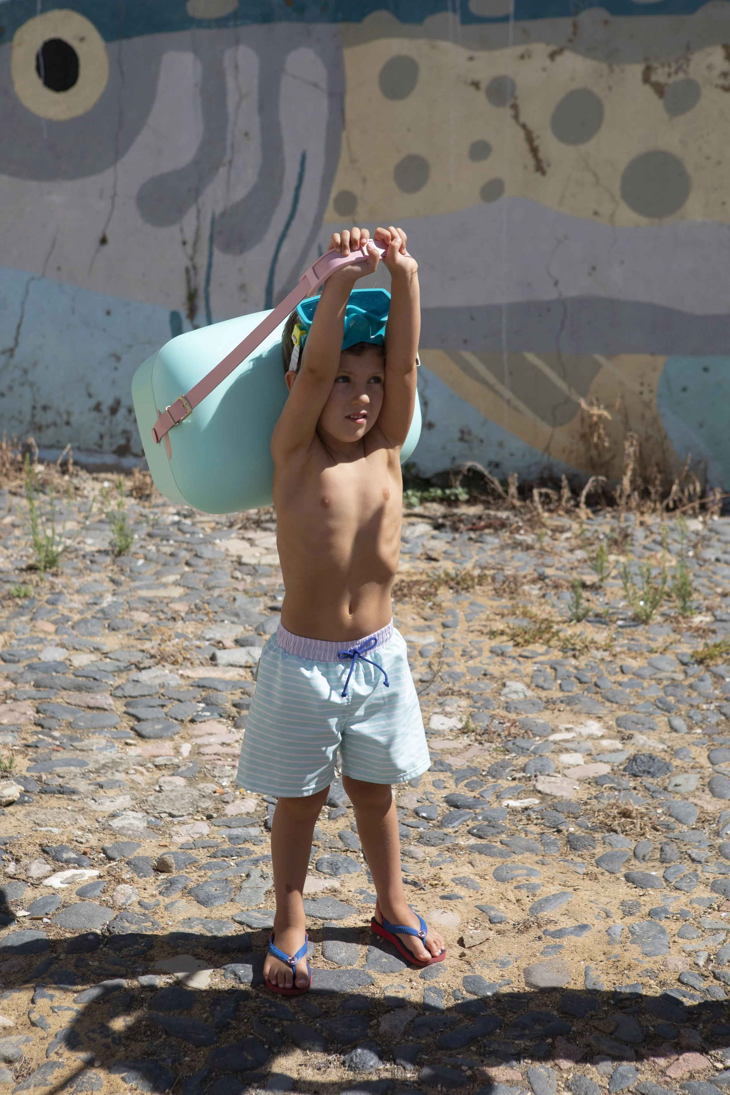 PSP-B-V1-Pastel stripes classic swim shorts-e.jpg