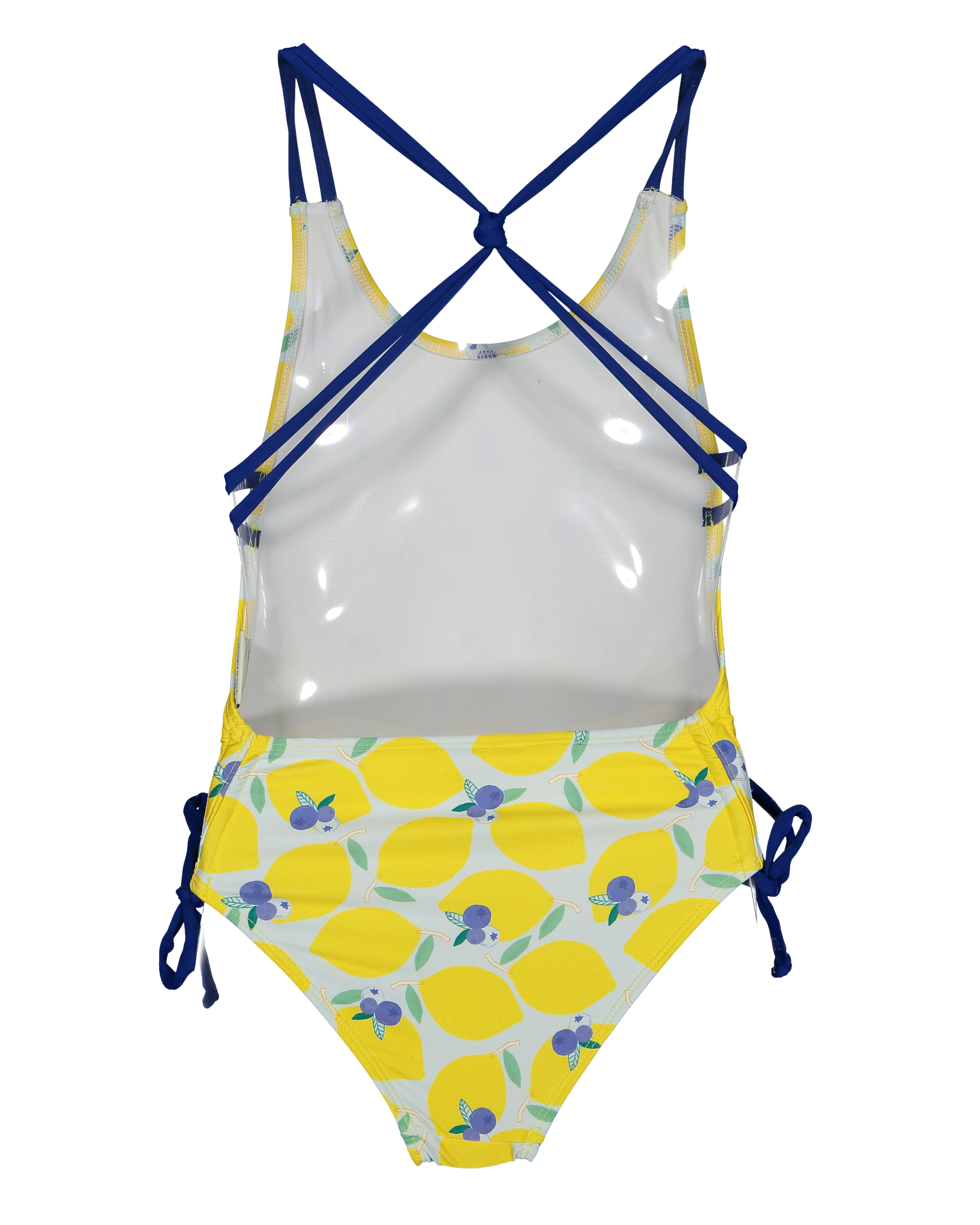 LBR-V2-Lemonberry swimsuit-b.png