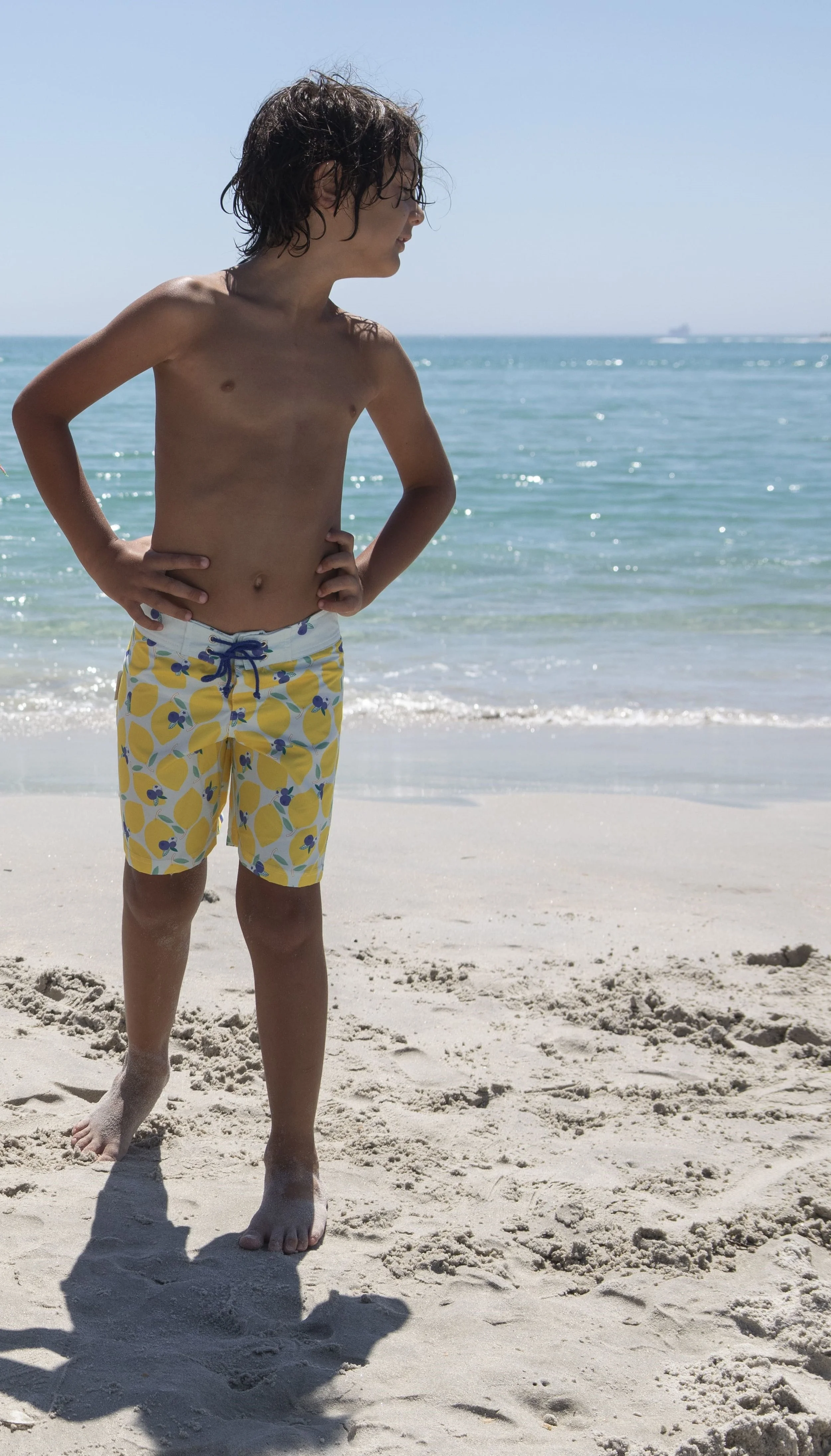 LBR-B-V2-Lemonberry surfer swim shorts-e.jpg