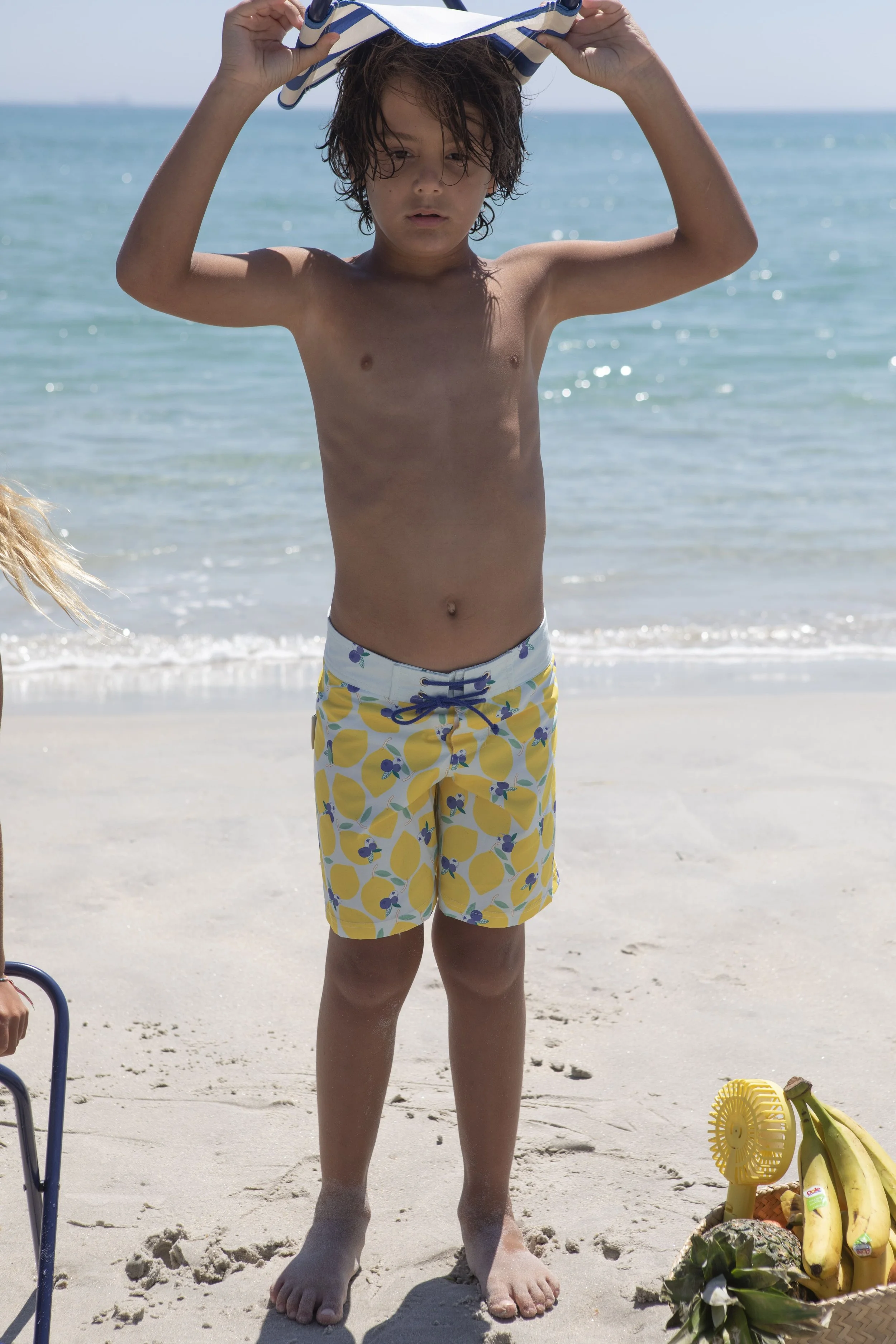 LBR-B-V2-Lemonberry surfer swim shorts-d.jpg