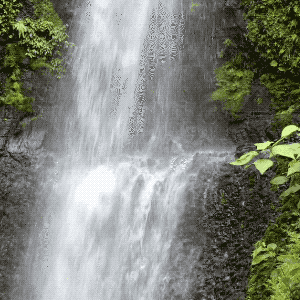 Blue Rook Distillery Water Source.gif