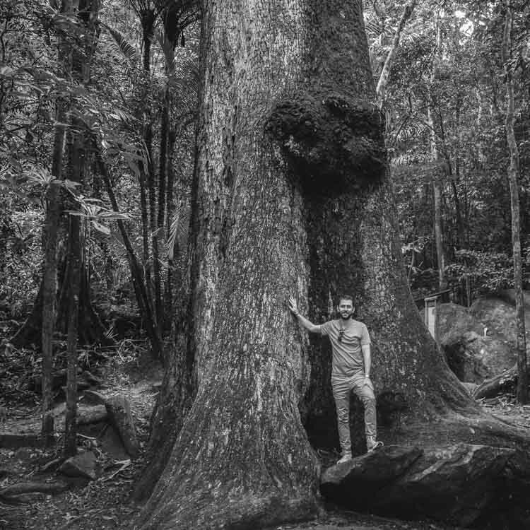 Zach at Brazil's Oldest Jequitiba Tree.jpg