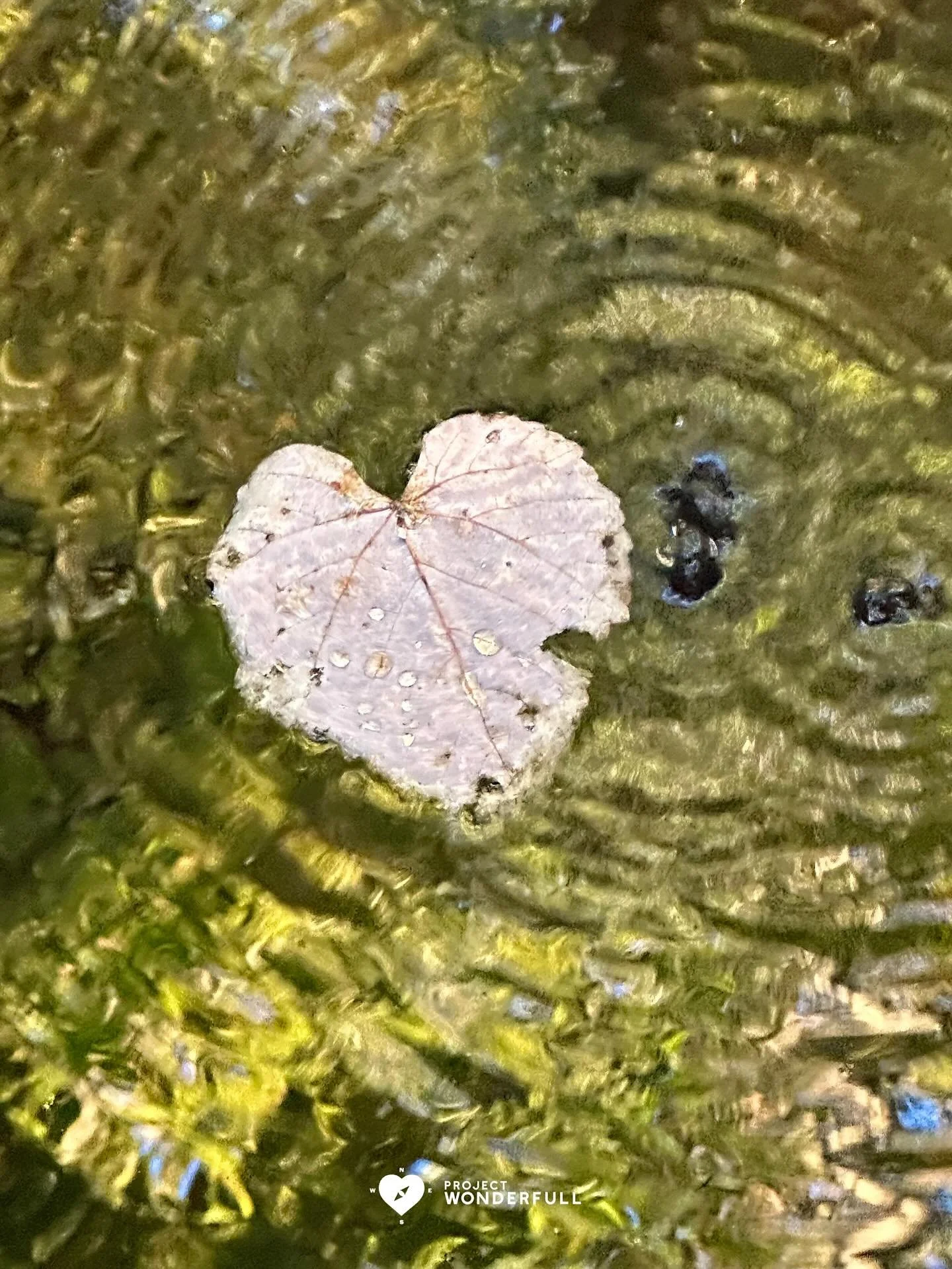 P.S. (Pre-Script again today&hellip;.)
Please send this along to someone you love, today!&nbsp;

My heart is in flow. My heart is grounded. My heart is happy. My heart is content. My heart is present. My heart is love. My heart is FULL. 

May your he