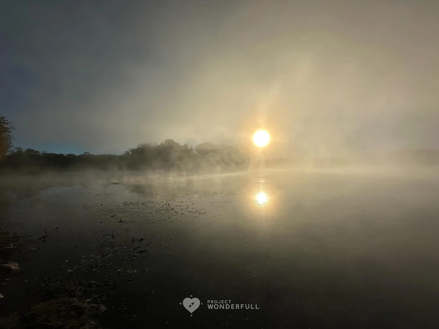 There&rsquo;s beauty in the fog too. When things feel foggy and confusing, it just means the brain is working. Stay curious&hellip; things will definitely de-fog and you&rsquo;ll gain clarity soon. 

#beautyheals 

Today&rsquo;s WonderFULL: Foggy Cur