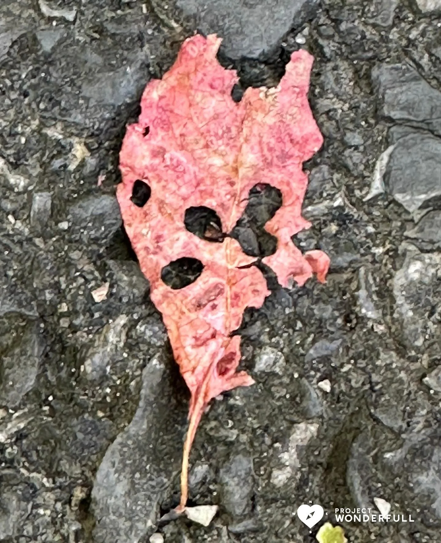 Love is everywhere, especially within. 

May this heart within a heart be a reminder that love has the ability to engulf us inside and out if we&rsquo;re willing to let it. 

#naturallyformedheart
#beautyheals 

Today&rsquo;s WonderFULL: Heart Within