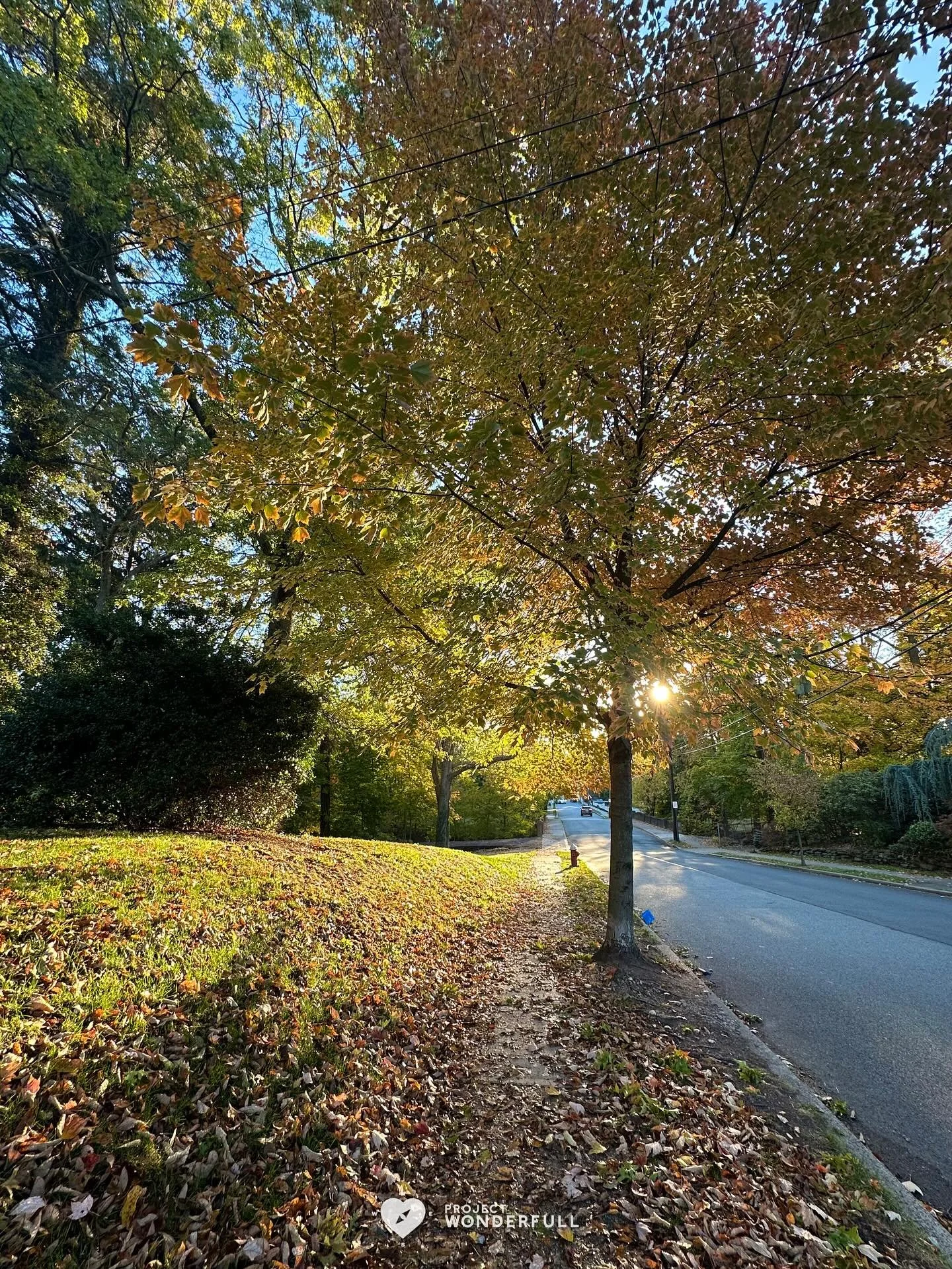 Some Fall goodness for you, today. 
Imagine the smell of fallen leaves while you take this beauty in.
#beautyheals 
Today’s WonderFULL: Fall Captured
(Ridgewood, NJ) 
Have a beautiful Thursday. 
Sarah 🩵🩵 
https://www.projectwonderfull.