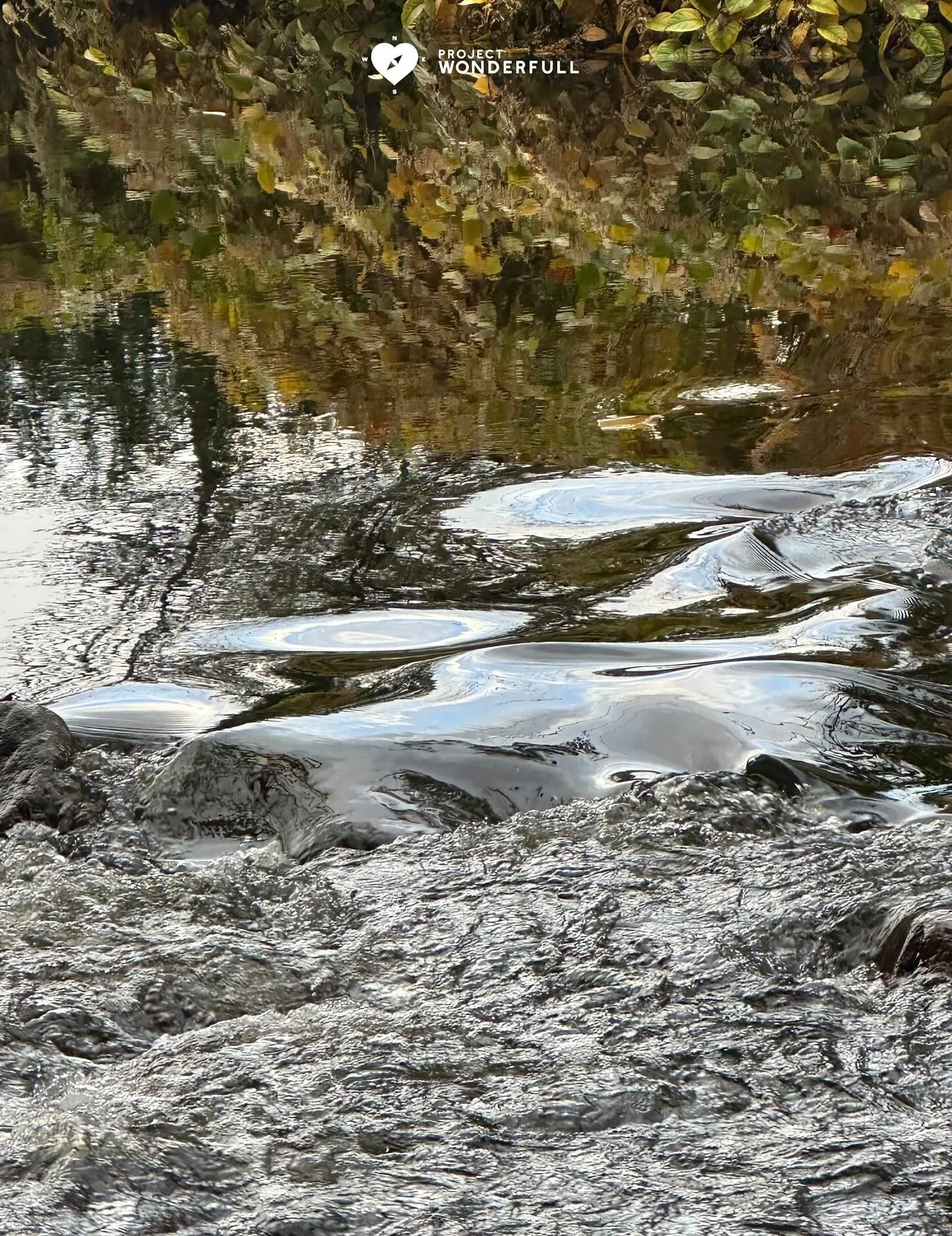 Let&rsquo;s gracefully flow into November together.

#beautyheals 

Today&rsquo;s WonderFULL: GraceFULL Flow

(Ridgewood, NJ) 

Have a beautiful Saturday and Happy November! 

Sarah 🩵🩵 

https://www.projectwonderfull.com/

P.S. Please send this alo