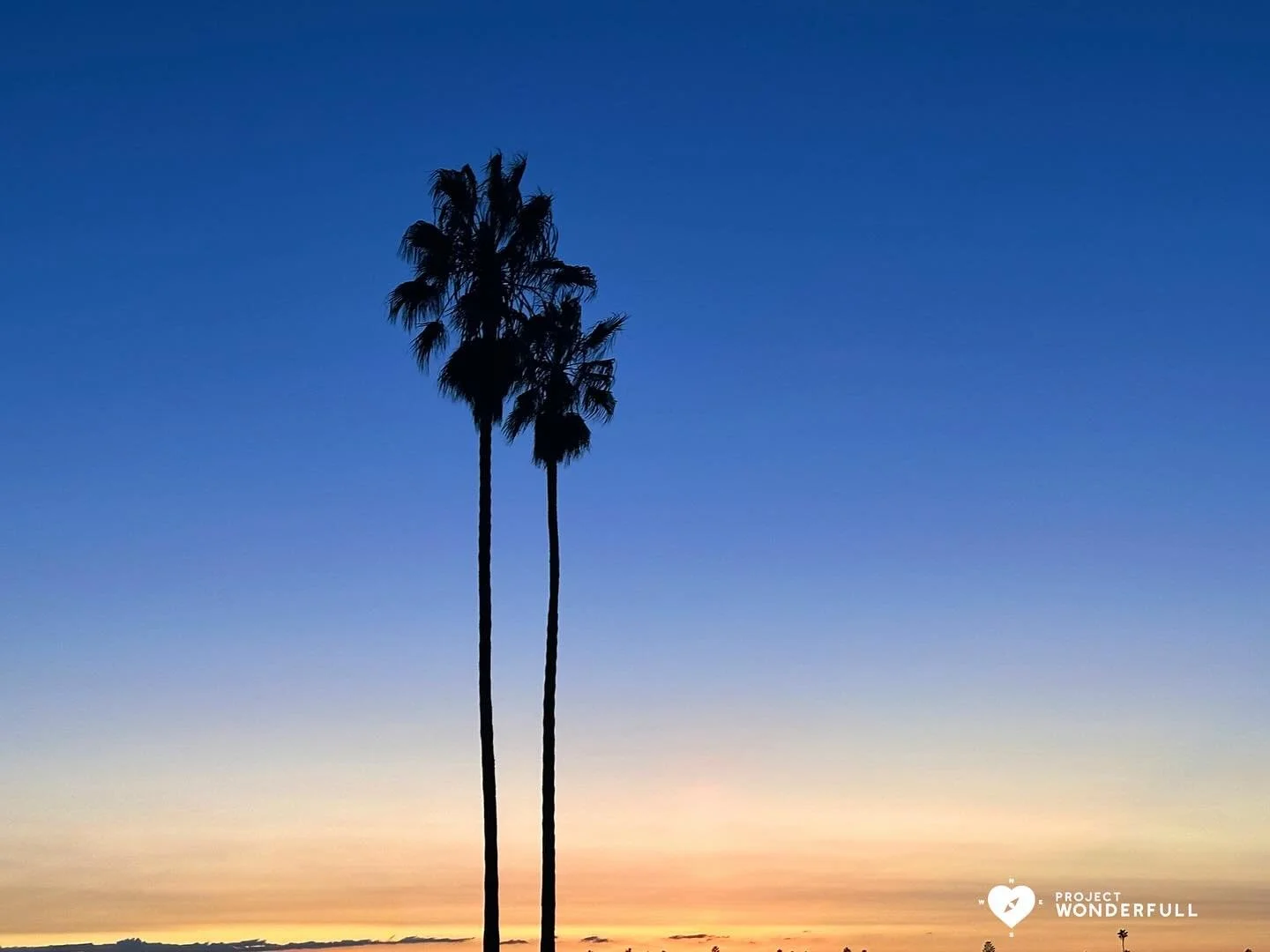 Three deep breaths&hellip;. dusk&hellip; solace.

#beautyheals 

Today&rsquo;s WonderFULL: Palm Tree Dusk

(San Diego, CA) 

Have a beautiful Friday! 

Sarah 🩵🩵 

https://www.projectwonderfull.com/

P.S. Please send this along to someone you love, 