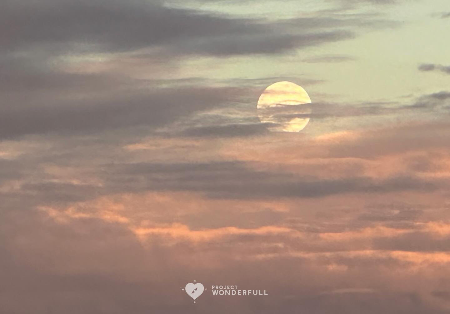 Today is the powerful super (Wolf) full moon. With it comes so much energy and is a time to tap into your inner strength and intuition. 

Hopefully you can take a peek tonight! (With a few deep breaths, of course.) 

#beautyheals 
 
Today&rsquo;s Won