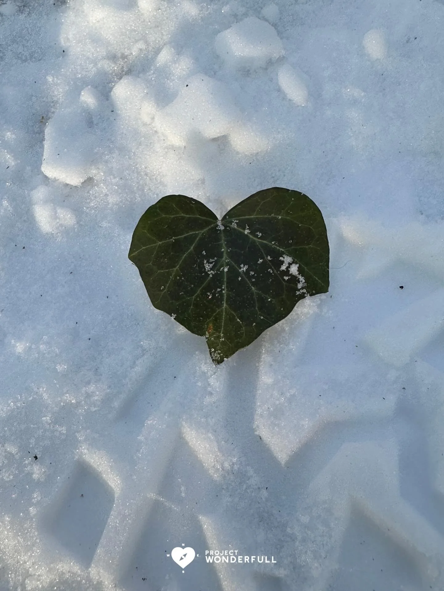 Love is resilient.
#beautyheals 
 
Today&rsquo;s WonderFULL: Resilient Heart

(Ridgewood, NJ) 

Have a beautiful Saturday. 

Sarah Grace 🩵🩵 

P.S. Share this beauty with someone you love today. #beautyheals 

https://www.projectwonderfull.com/ 

It