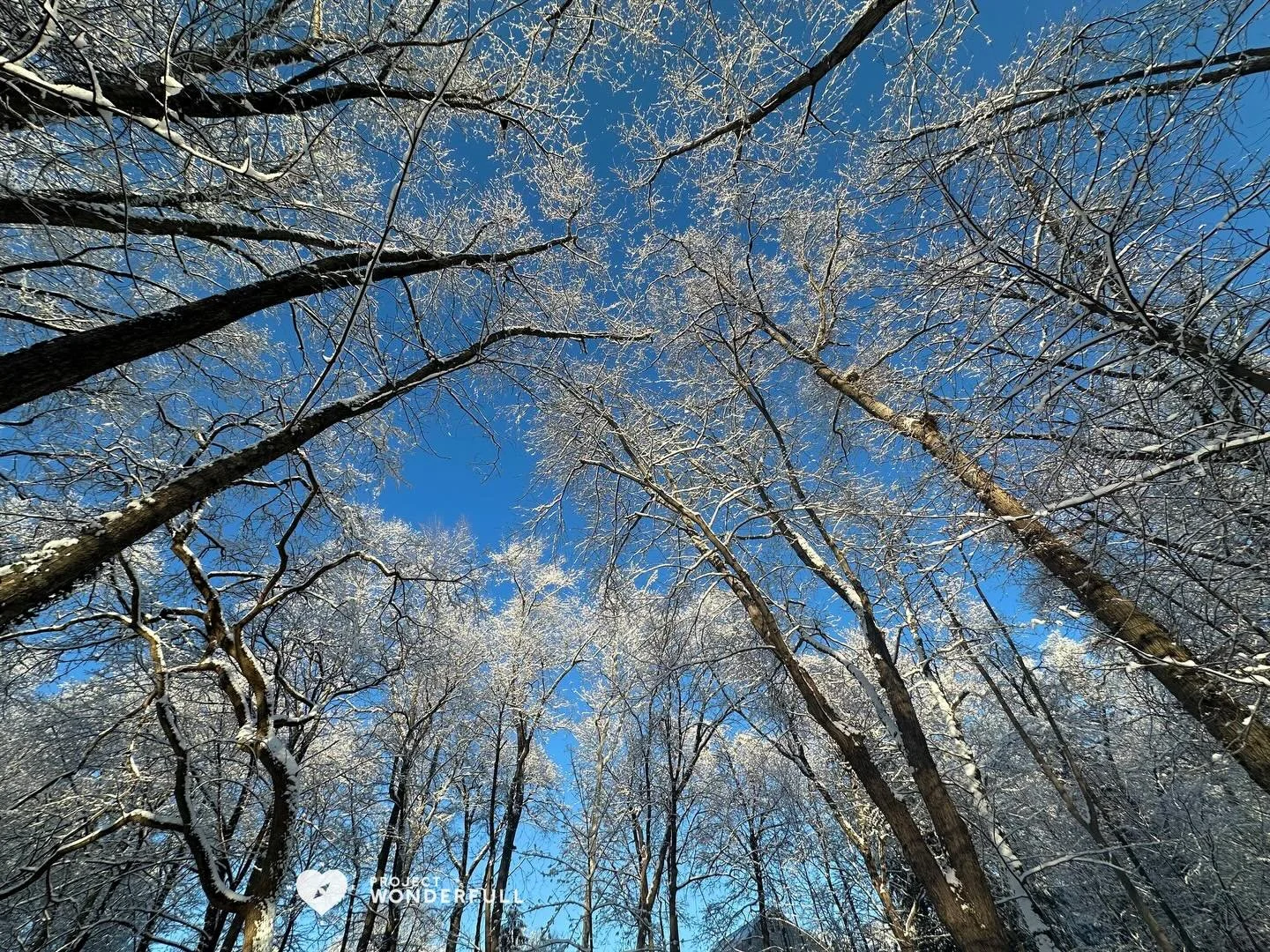 This was the calm before a big storm that I dodged by heading down south&hellip; 

I hope if you are experiencing this storm that you&rsquo;re 1. staying warm and safe and 2. are able to get out and take in the beauty and peace that comes with snow!

