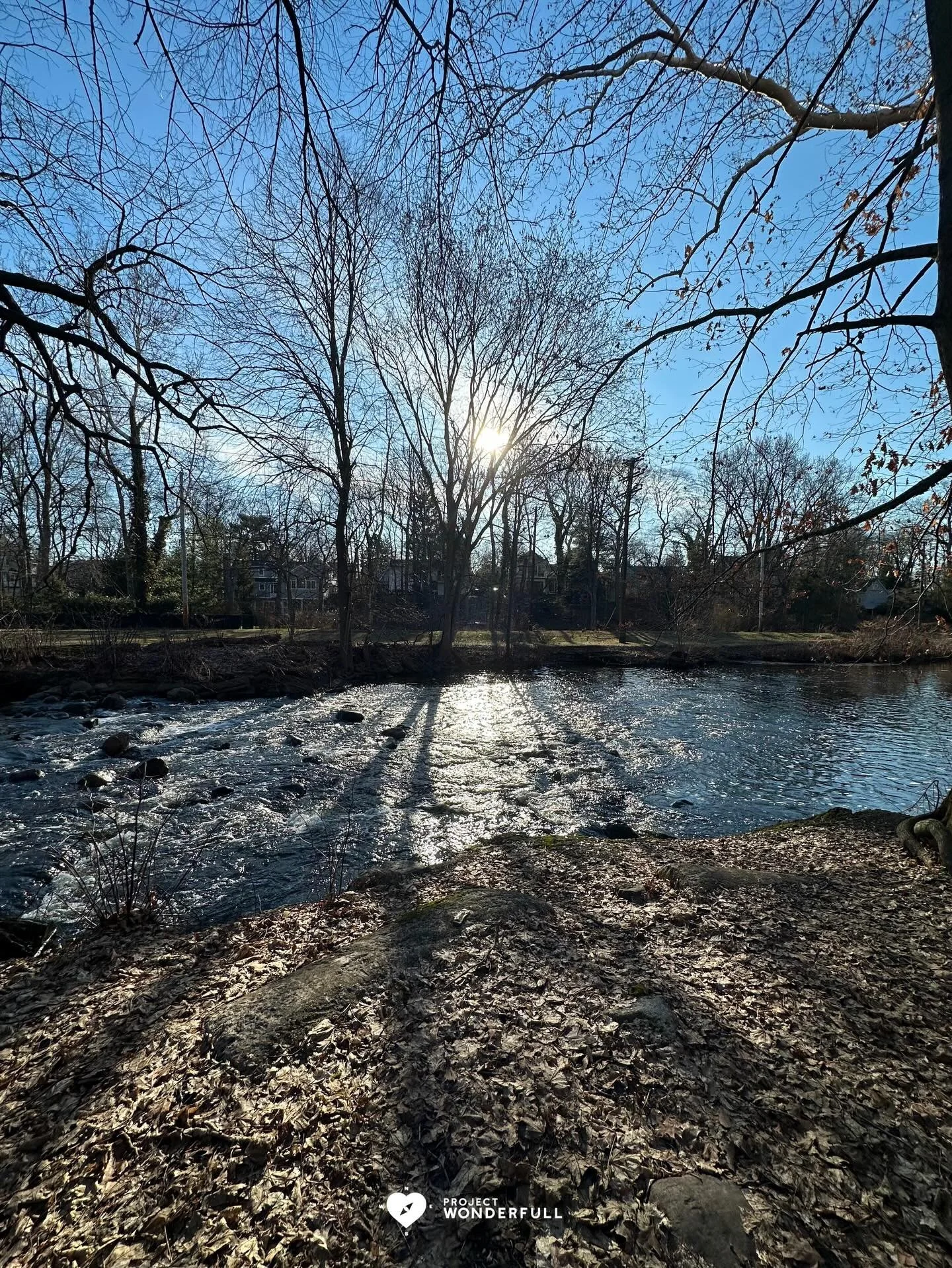 The sun makes everything better! 

#beautyheals 
 
Today&rsquo;s WonderFULL: Sunshine Effects 

(Ridgewood, NJ) 

Have a wonderFULL Saturday! 

Sarah Grace 🩵🩵 

P.S. Share this beauty with someone you love today. #beautyheals 

https://www.projectw