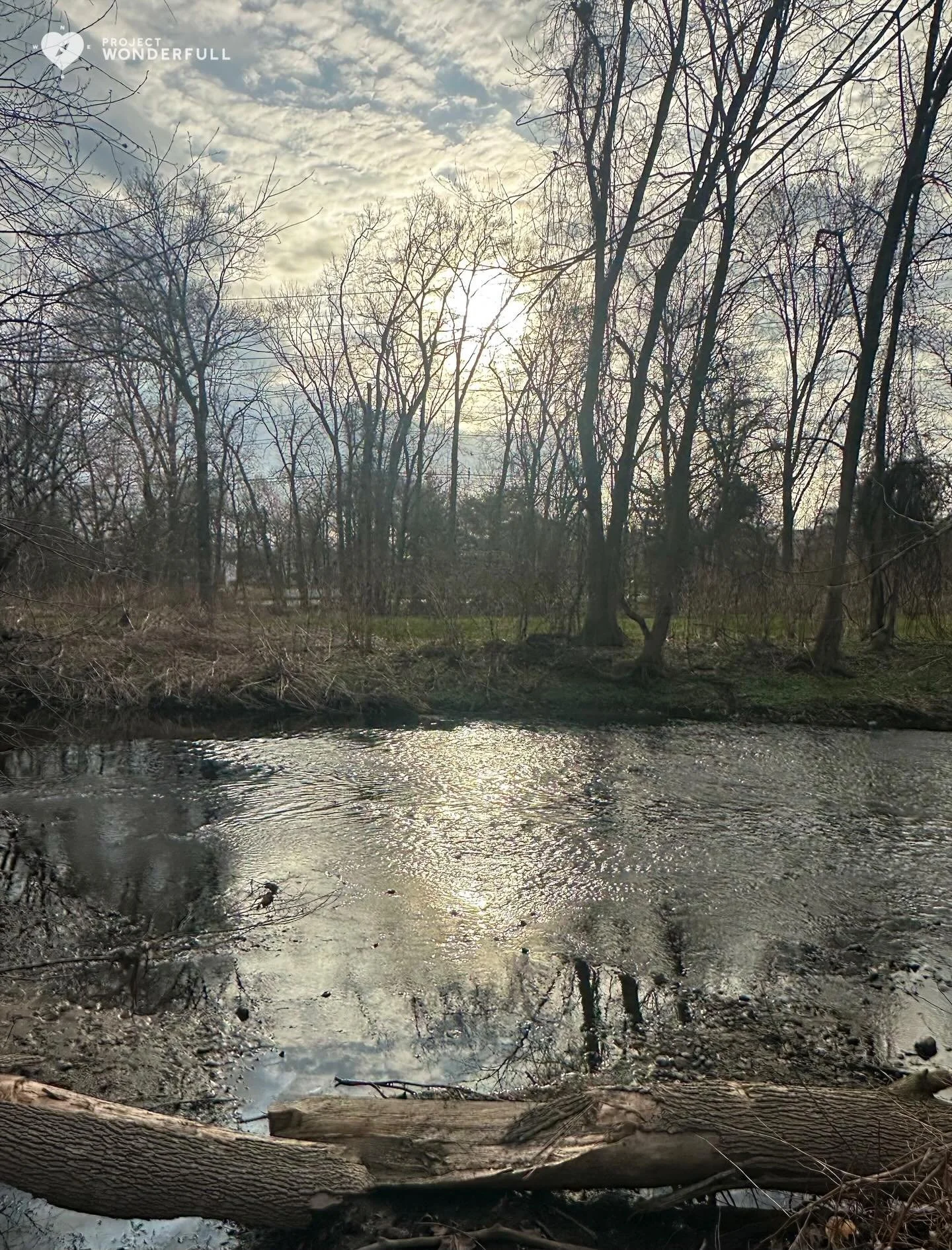 Happy April!! It&rsquo;s a new month and a new opportunity to notice the beauty all around&hellip; wherever you are&hellip; whatever the season and weather, there&rsquo;s always something wonderFULL.

#beautyheals 
 
Today&rsquo;s WonderFULL: Reflect