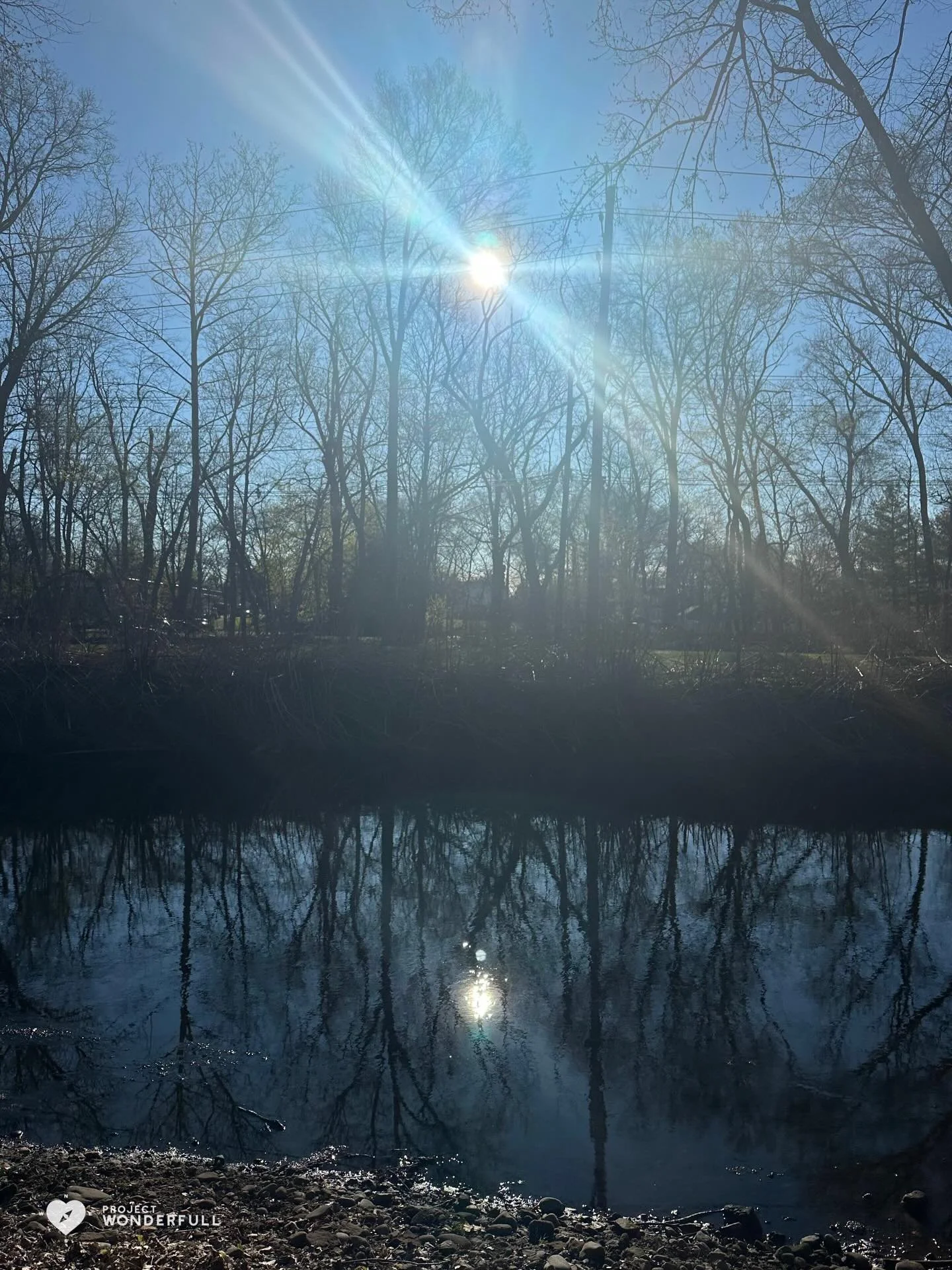I hope this image captures the warmth and radiance of this moment&hellip; and I hope you feel it too! 
#beautyheals 

Today&rsquo;s WonderFULL: Brilliant Sunshine Reflected 

(Ridgewood, NJ) 

Have a wonderFULL Wednesday! 

Sarah Grace 🩵🩵 

P.S. Sh