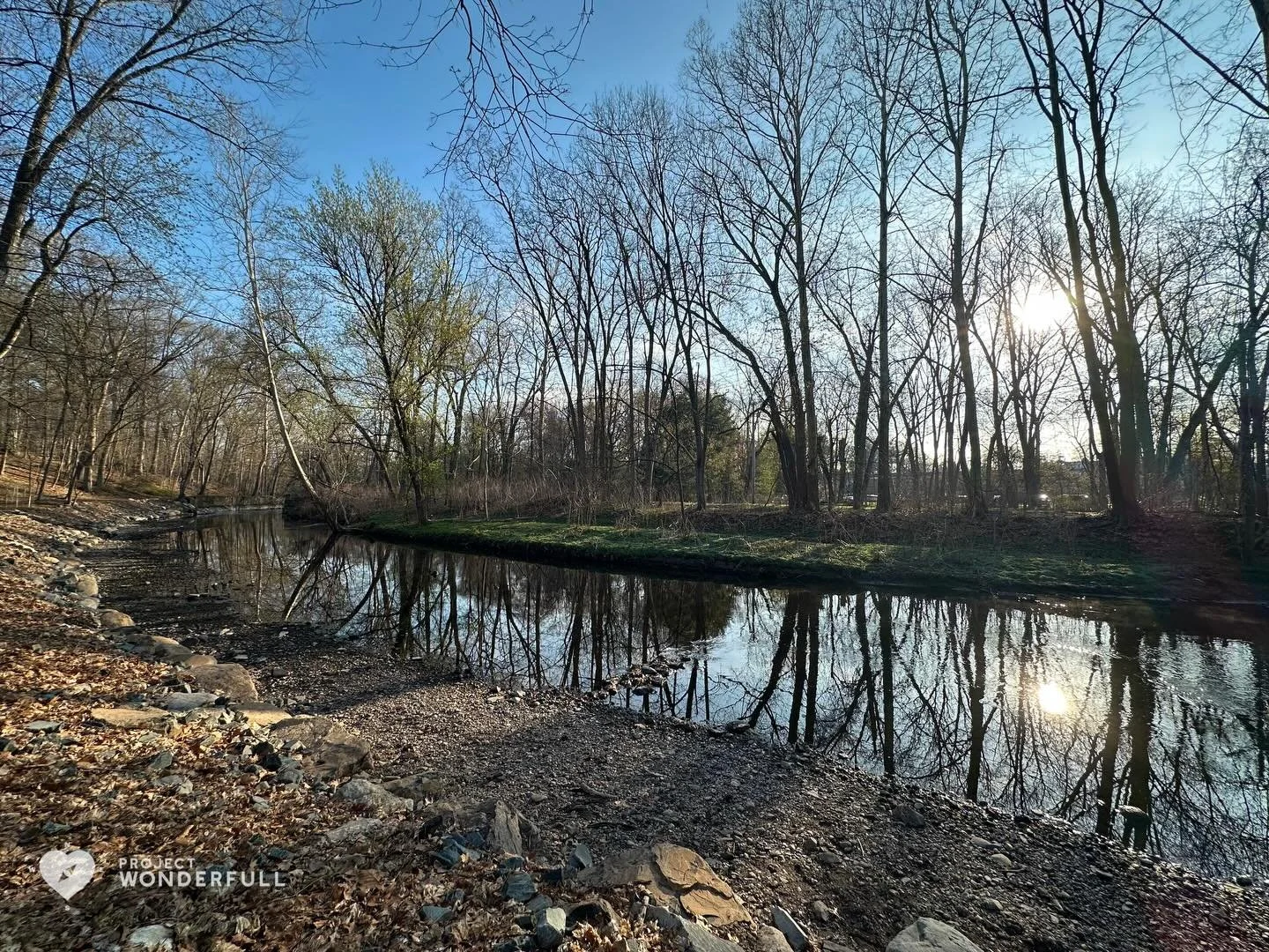 A little solace for you this Saturday morning&hellip; 

#beautyheals 

Today&rsquo;s WonderFULL: Saturday Solace 

(Ridgewood, NJ) 

Have a wonderFULL Saturday! 

Sarah Grace 🩵🩵 

P.S. Share this beauty with someone you love today. #beautyheals 

h